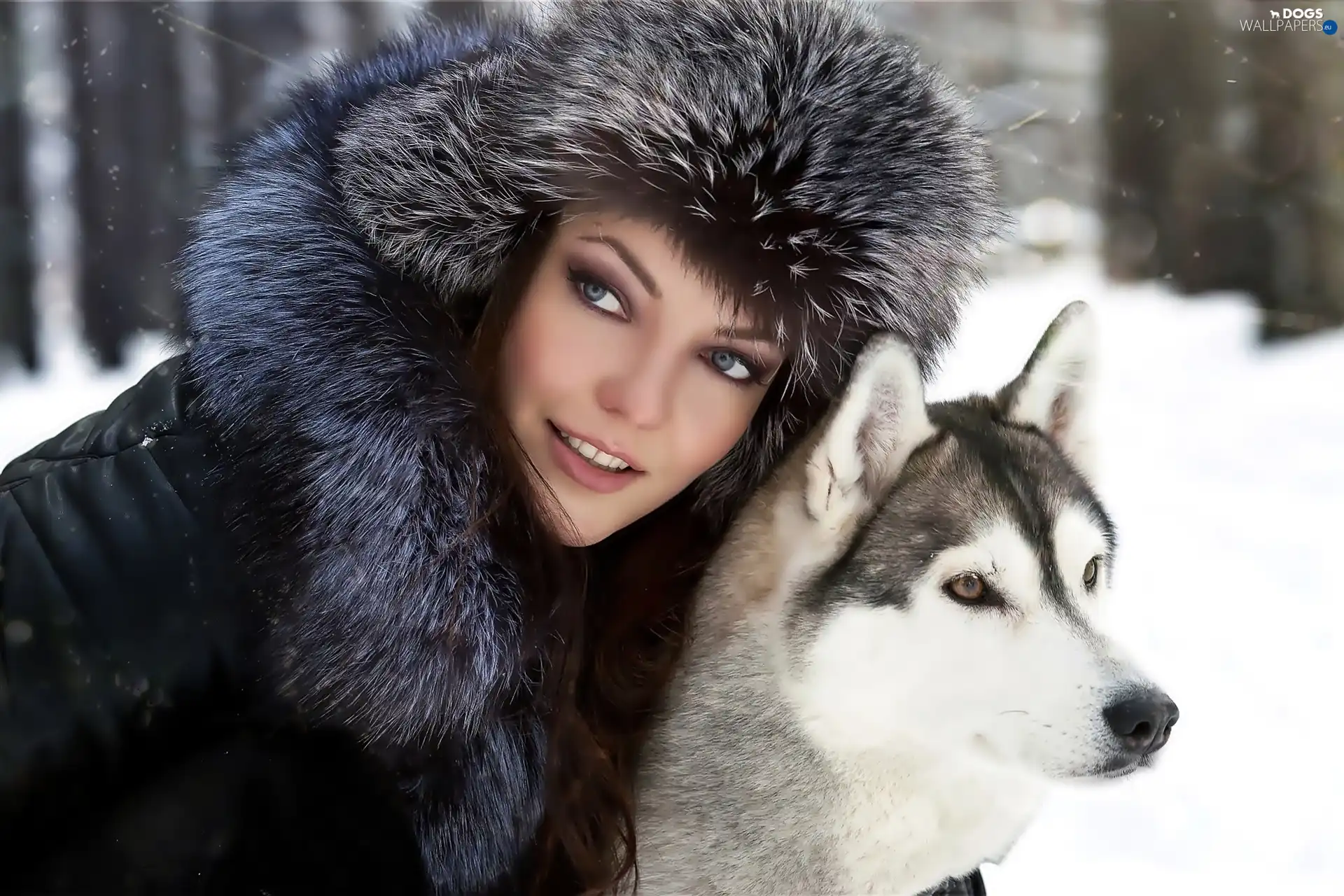 Siberian Husky, dog, Women, Hat