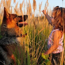 play, dog, girl, grass