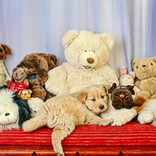 plushies, toys, dog, Puppy