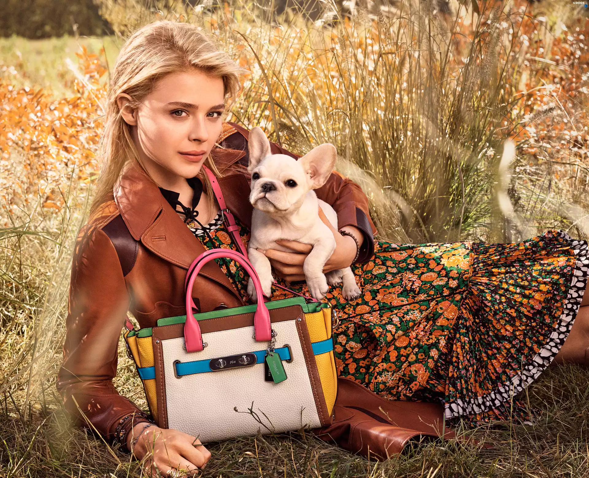 Women, doggy, Purse, actress