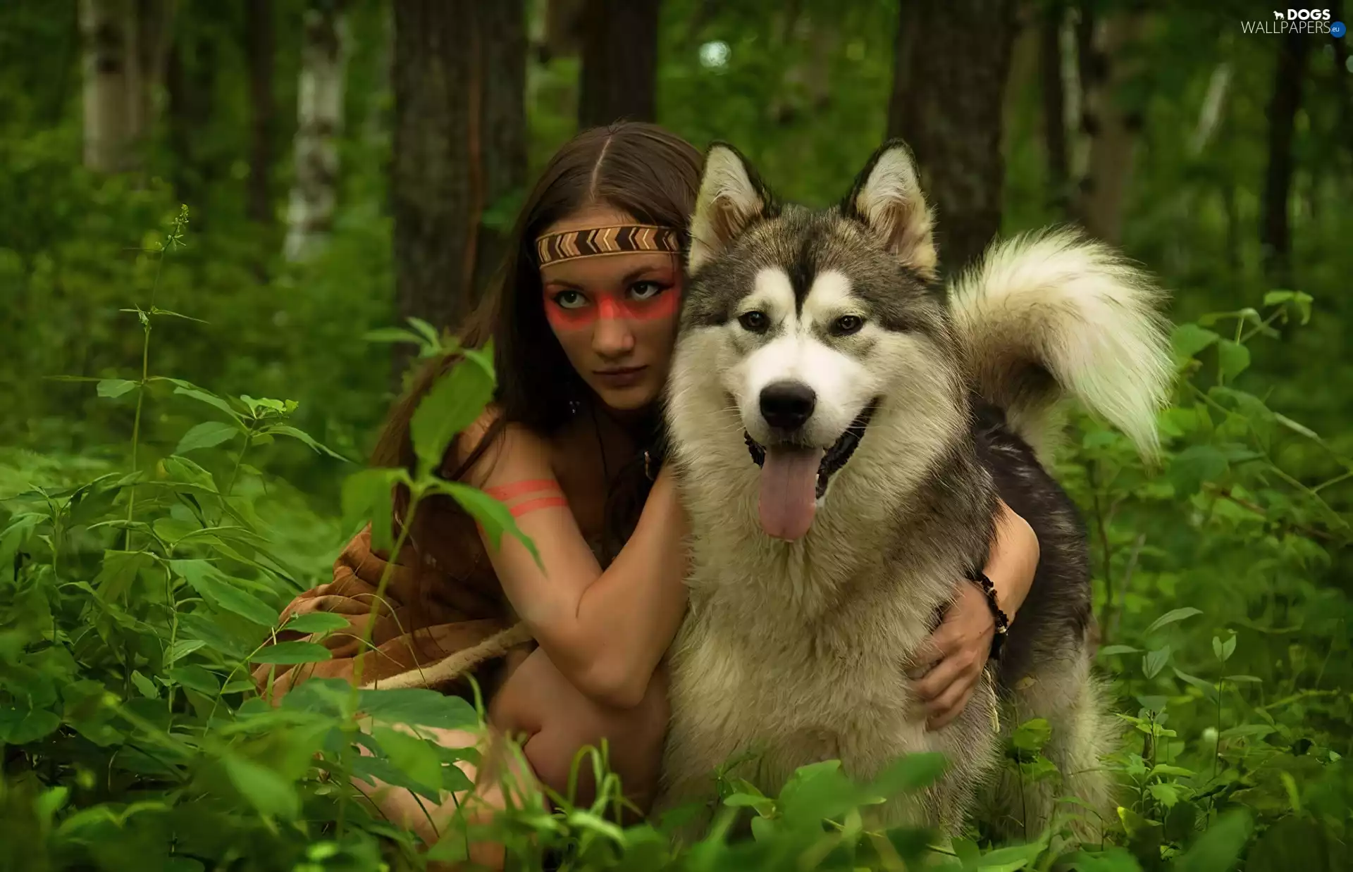 girl, Alaskan Malamute, forest, dog