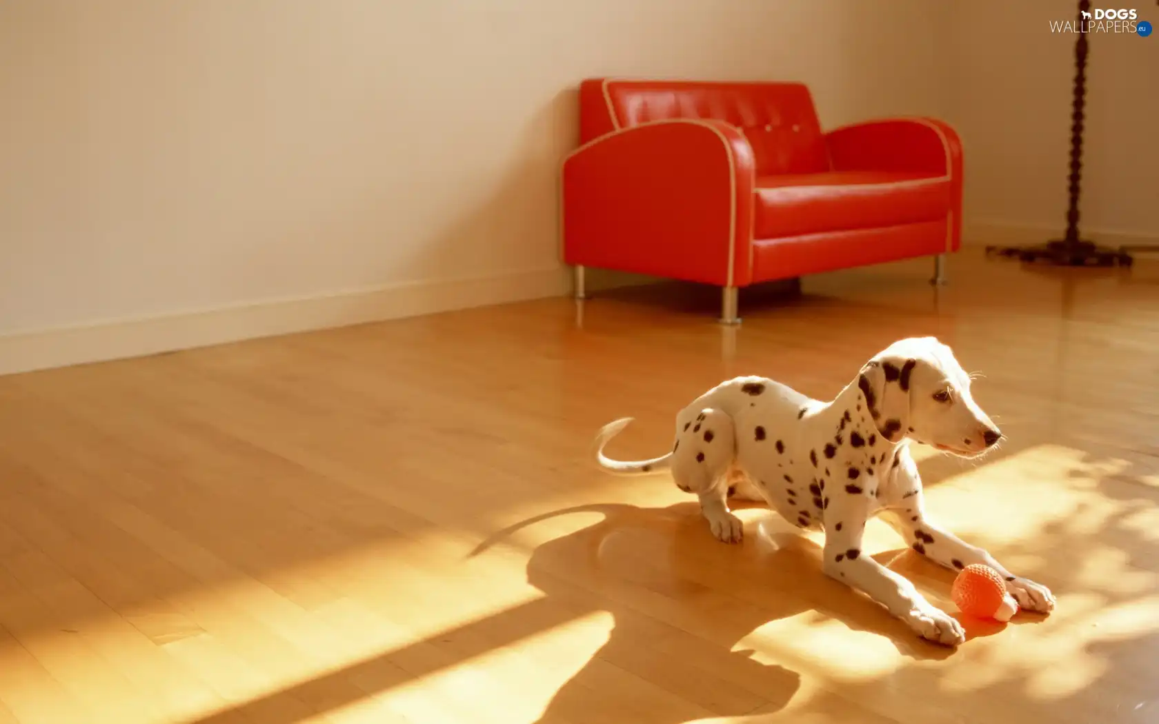 Armchair, Room, Dalmatian, toy