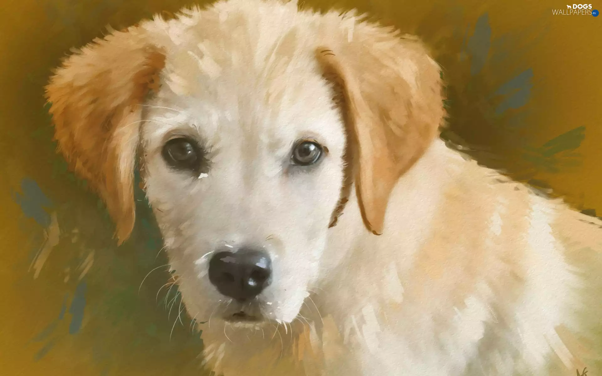 dog, Art Image, portrait, Puppy