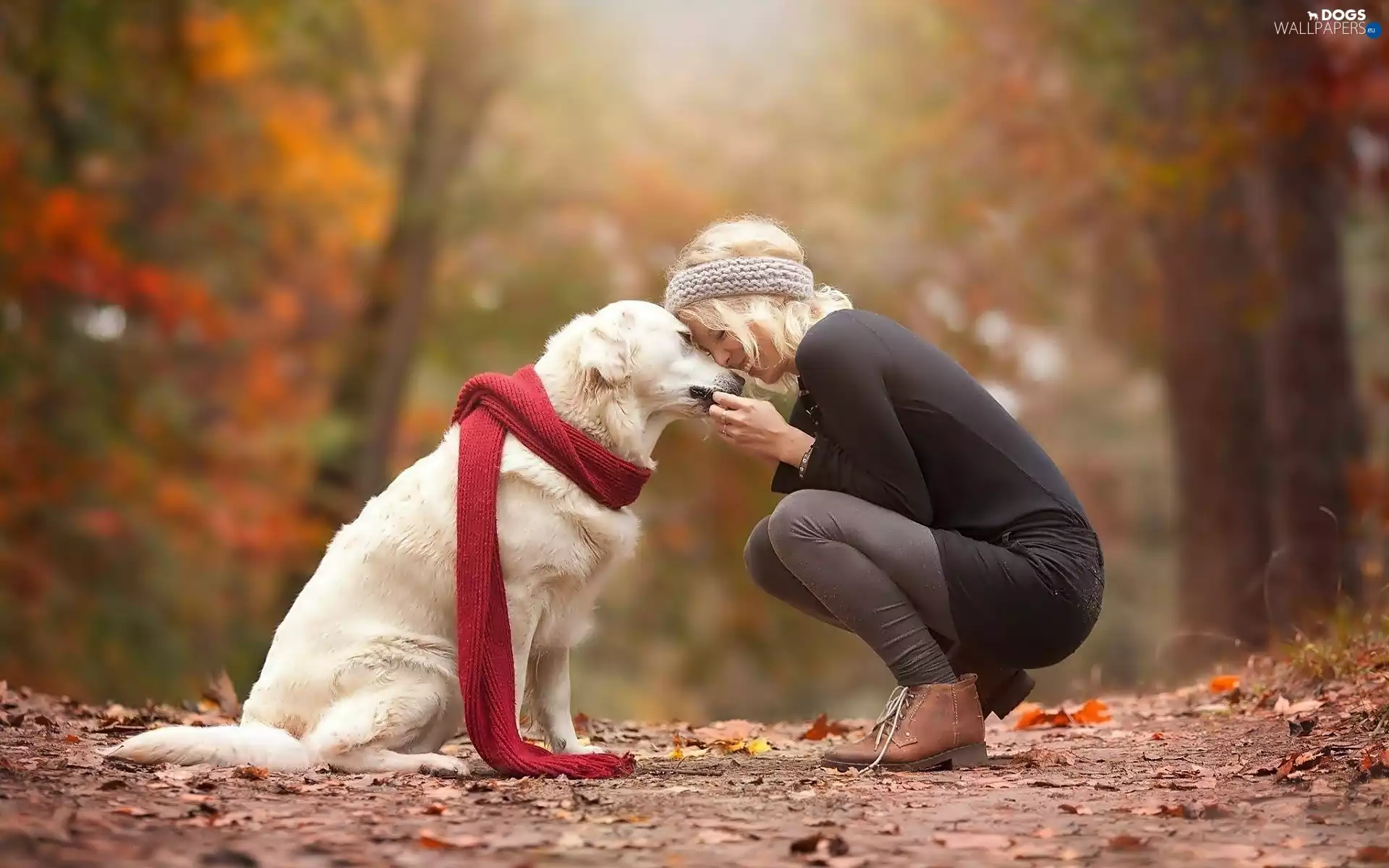 Women, Red, cuddling, shawl, Park, dog, White, autumn