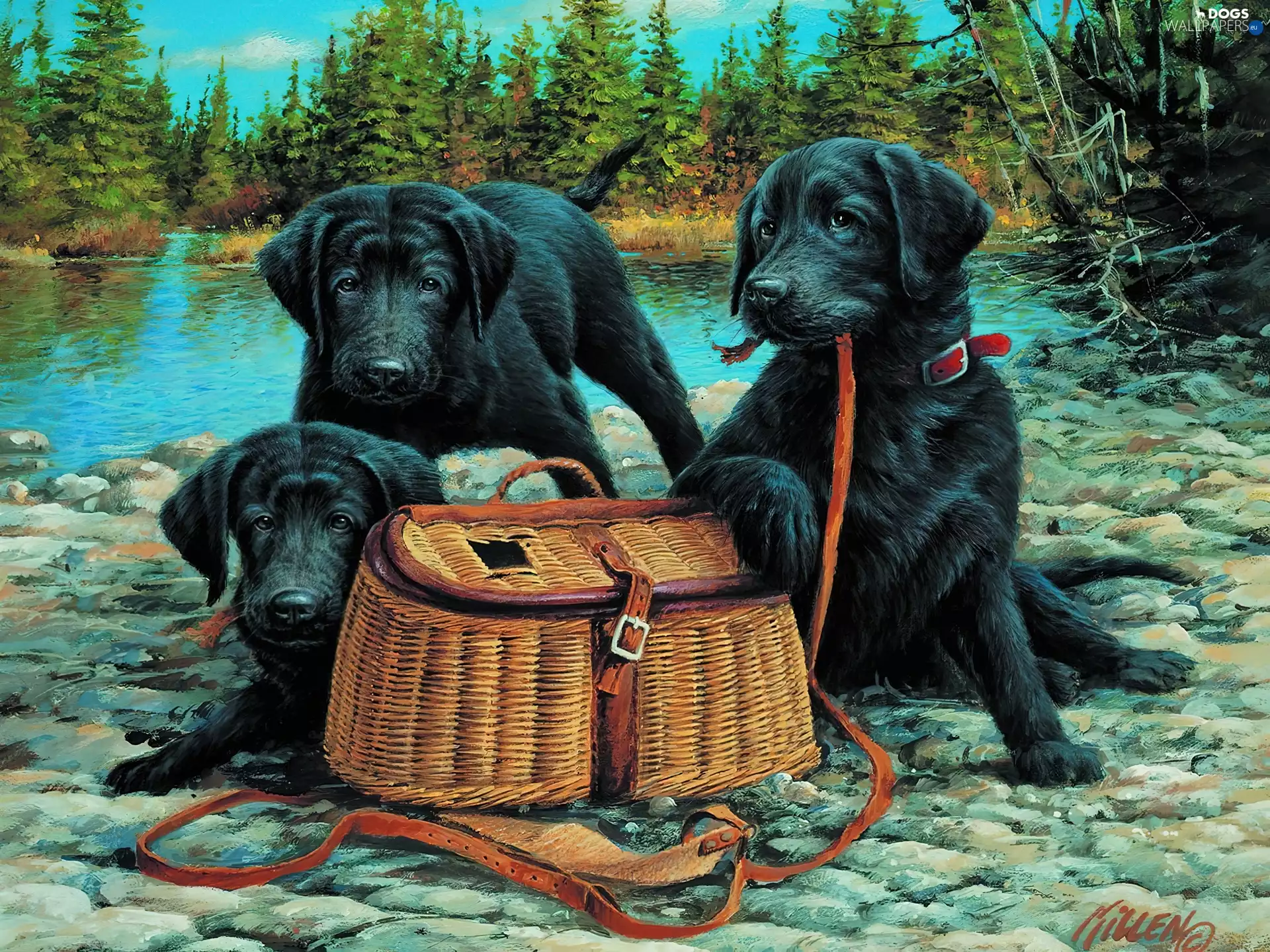 puppies, basket, Black, Dogs, Three