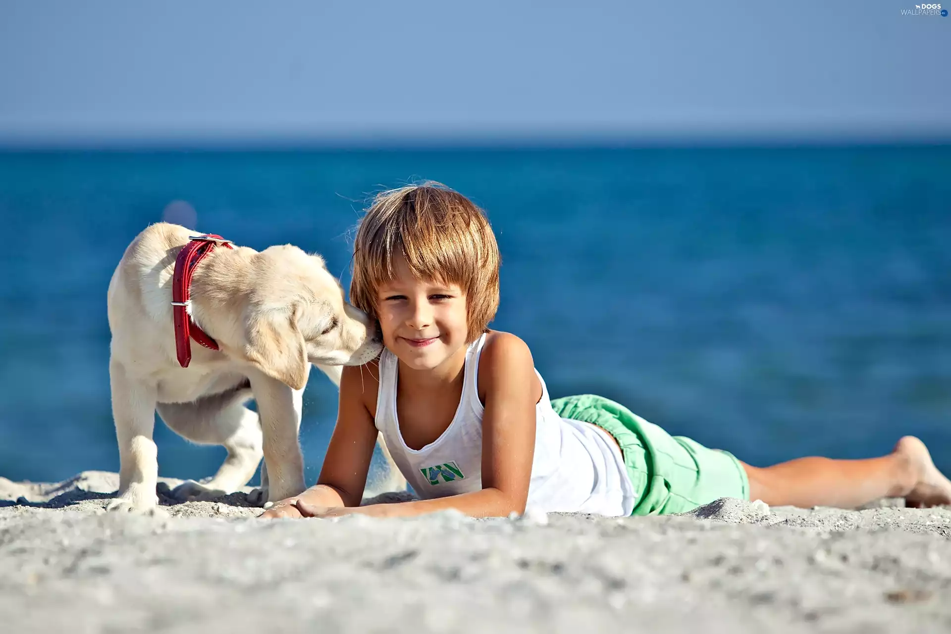 Beaches, boy, doggy