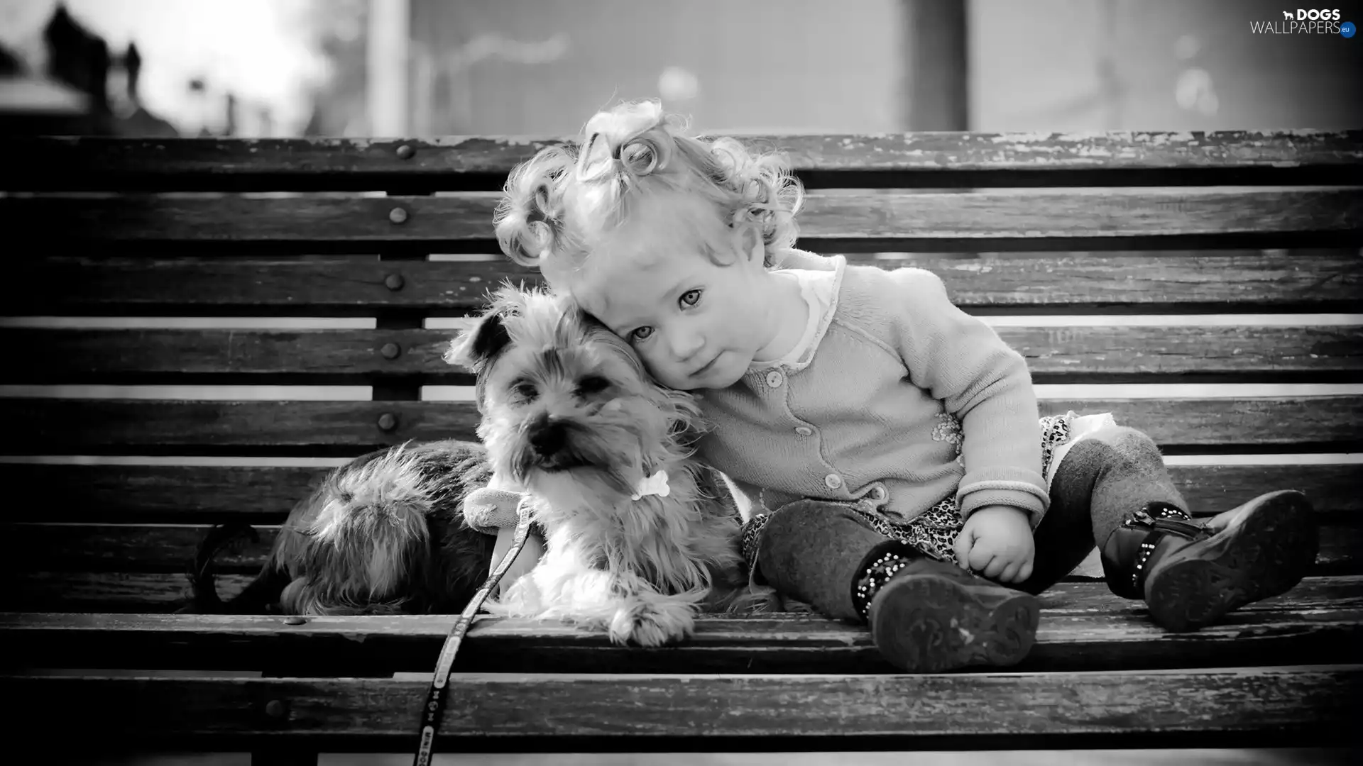 Bench, girl, doggy