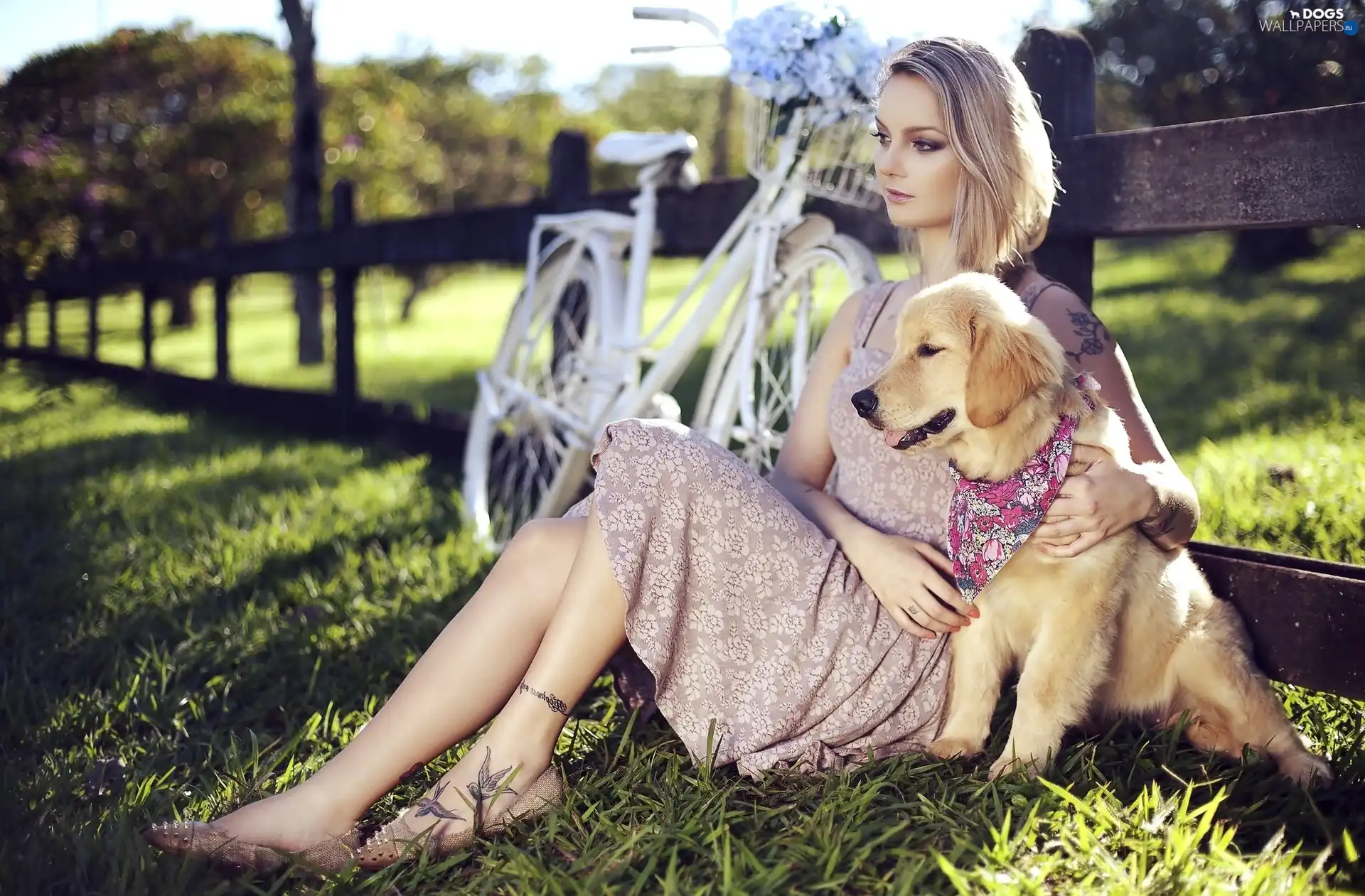 Bike, dog, girl, Fance, tattoos