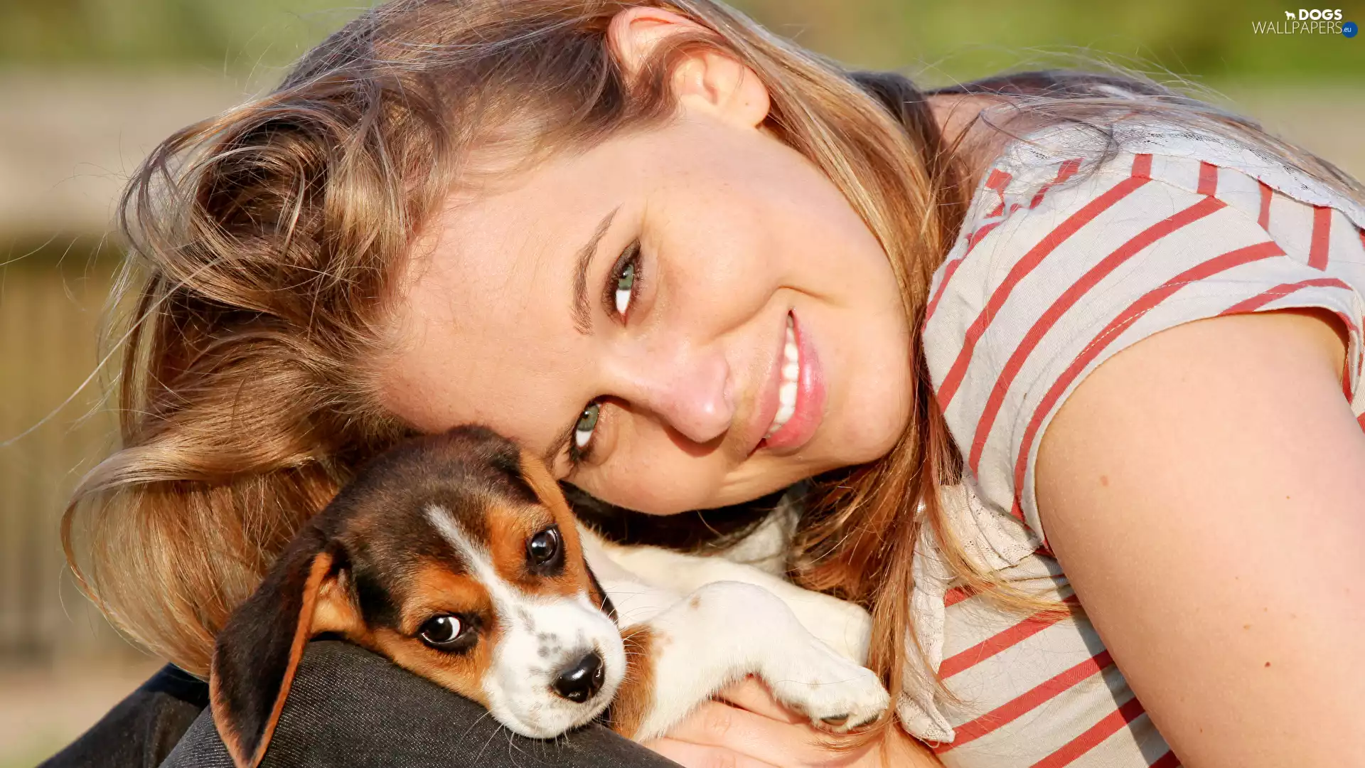 smiling, Puppy, Beagle, Blonde