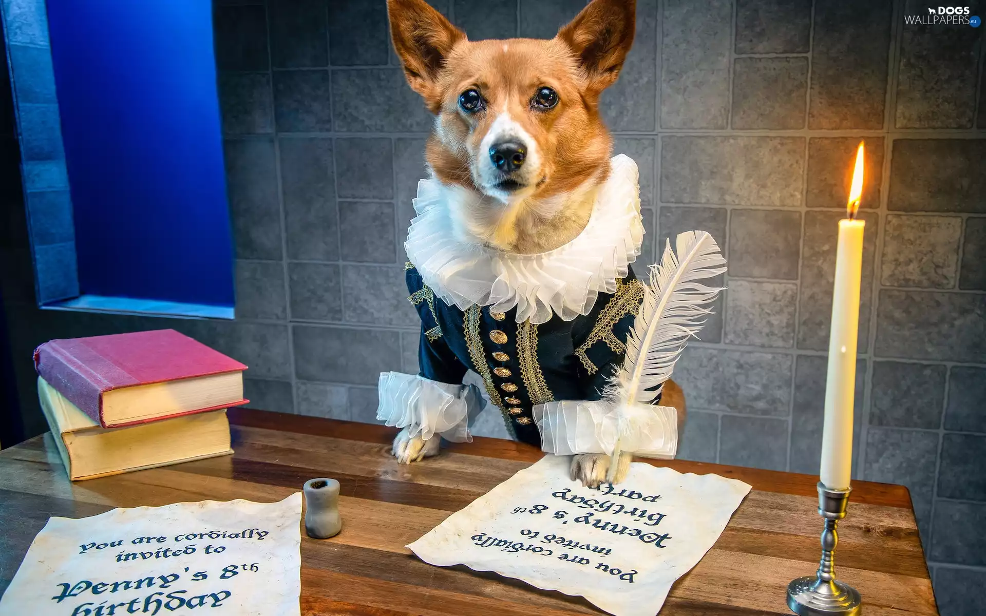 Books, Welsh corgi pembroke, candle, Table, dog, pen, Funny