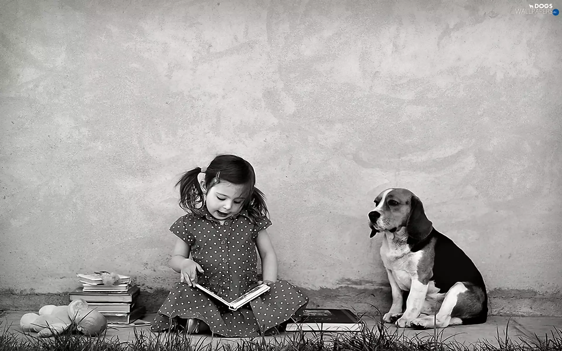 girl, dog, Beagle, Books