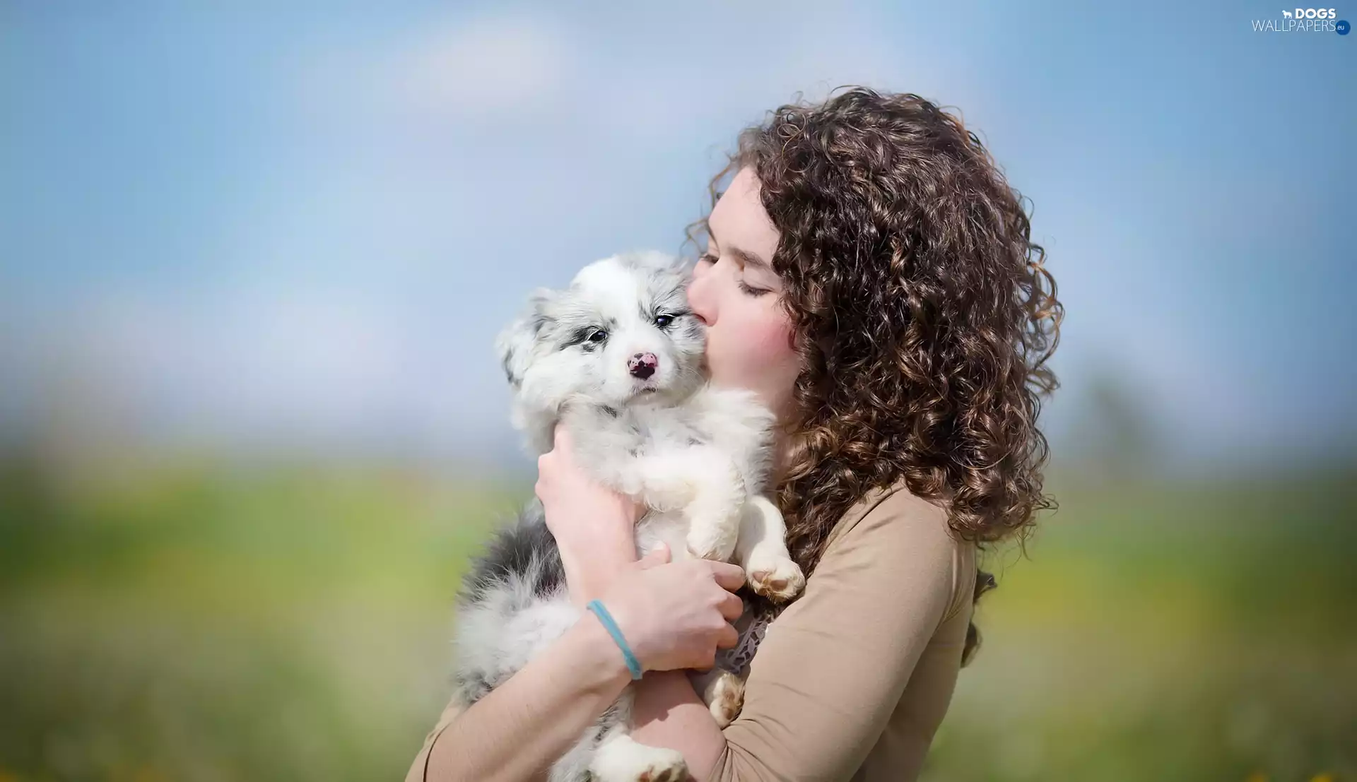 Women, Border Collie, hugging, Puppy