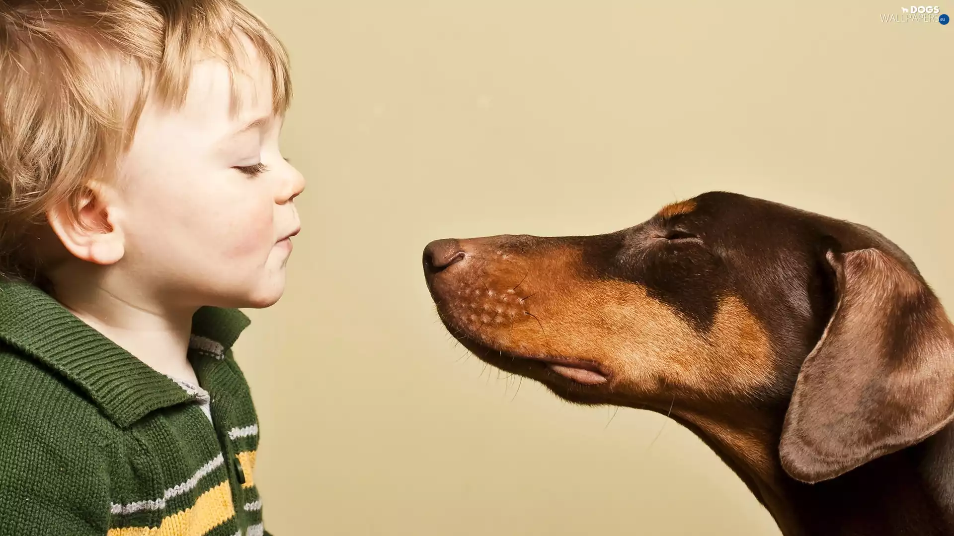 Kid, Doberman, Kiss, boy