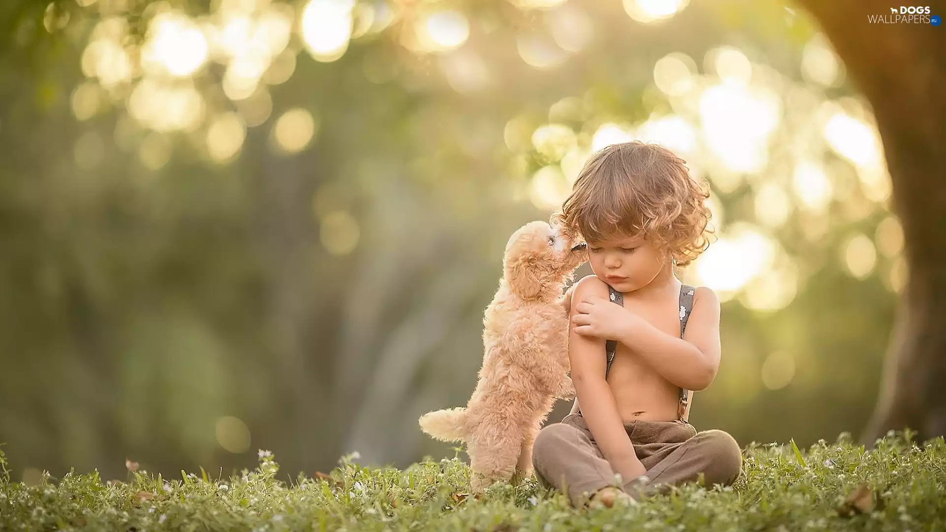 Kid, doggy, Puppy, boy