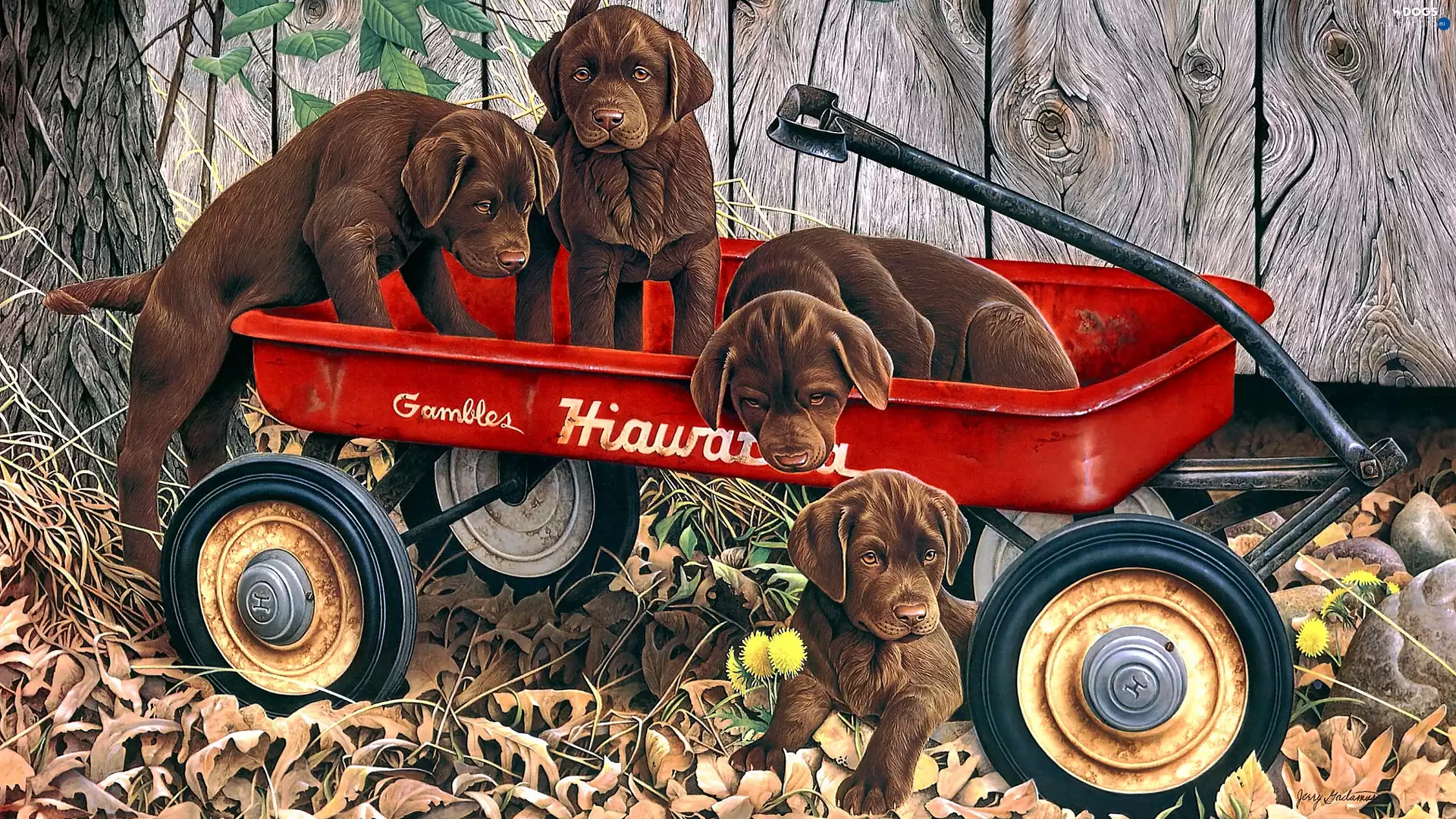 Brown, four, Dogs, puppies, painting, Jerry Gadamus, Garden, autumn, Trailer