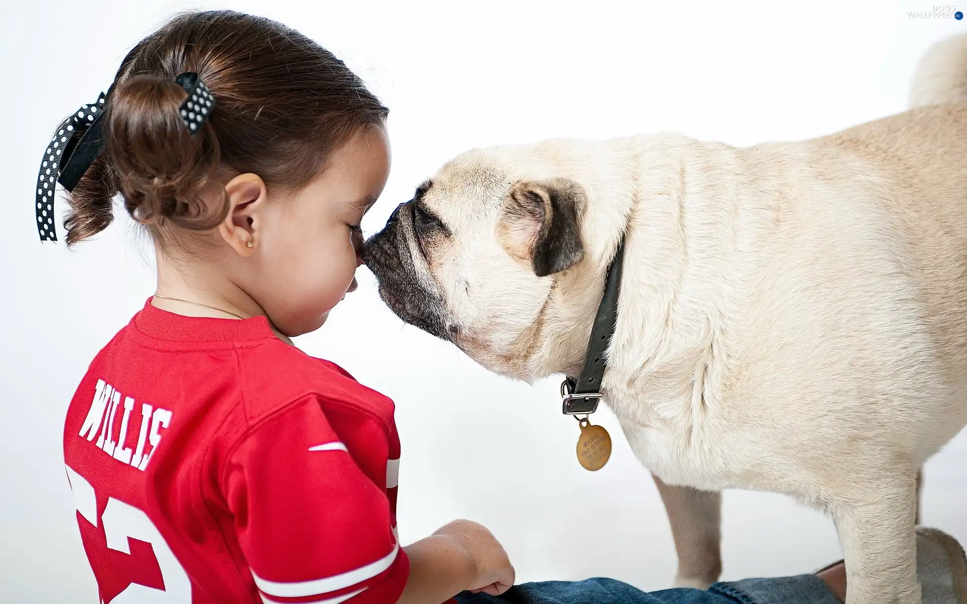 girl, Buldog, small