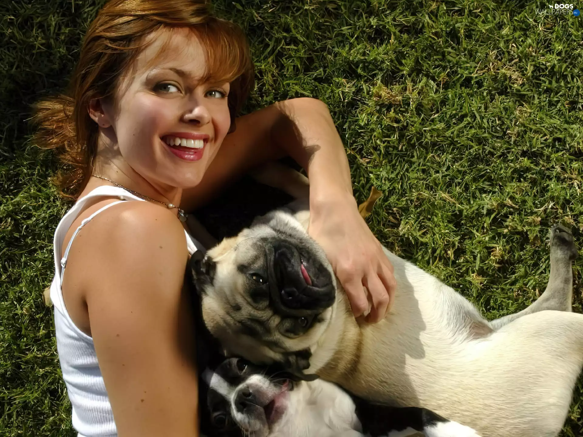 Izabella Scorupco, French Bulldog