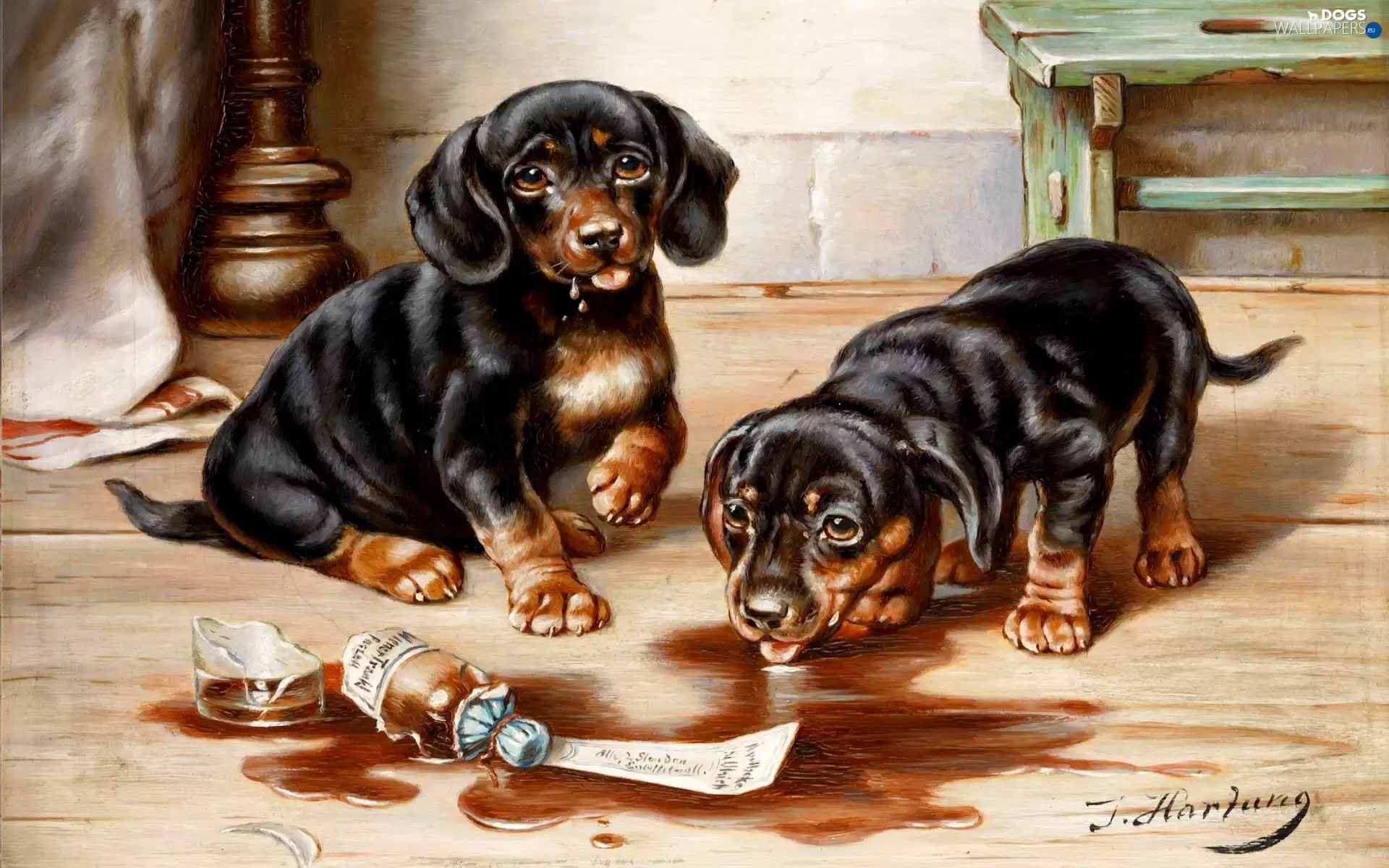 Two cars, dachshunds, picture, puppies