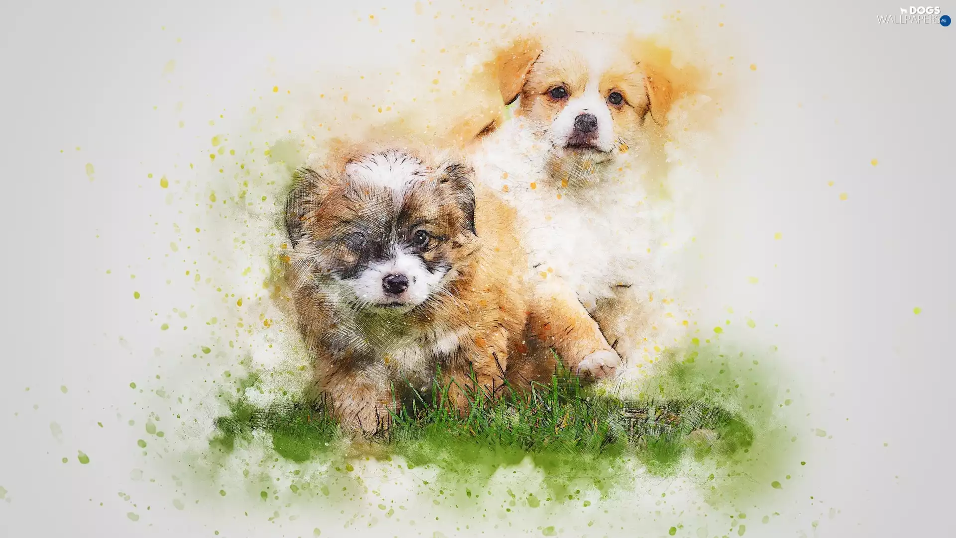 Two cars, puppies, Paintography, Dogs