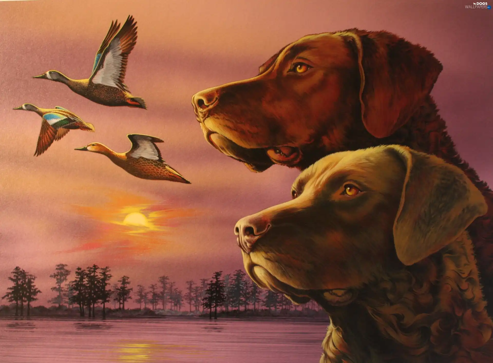 Chesapeake Bay retrievery, ducks, Two cars