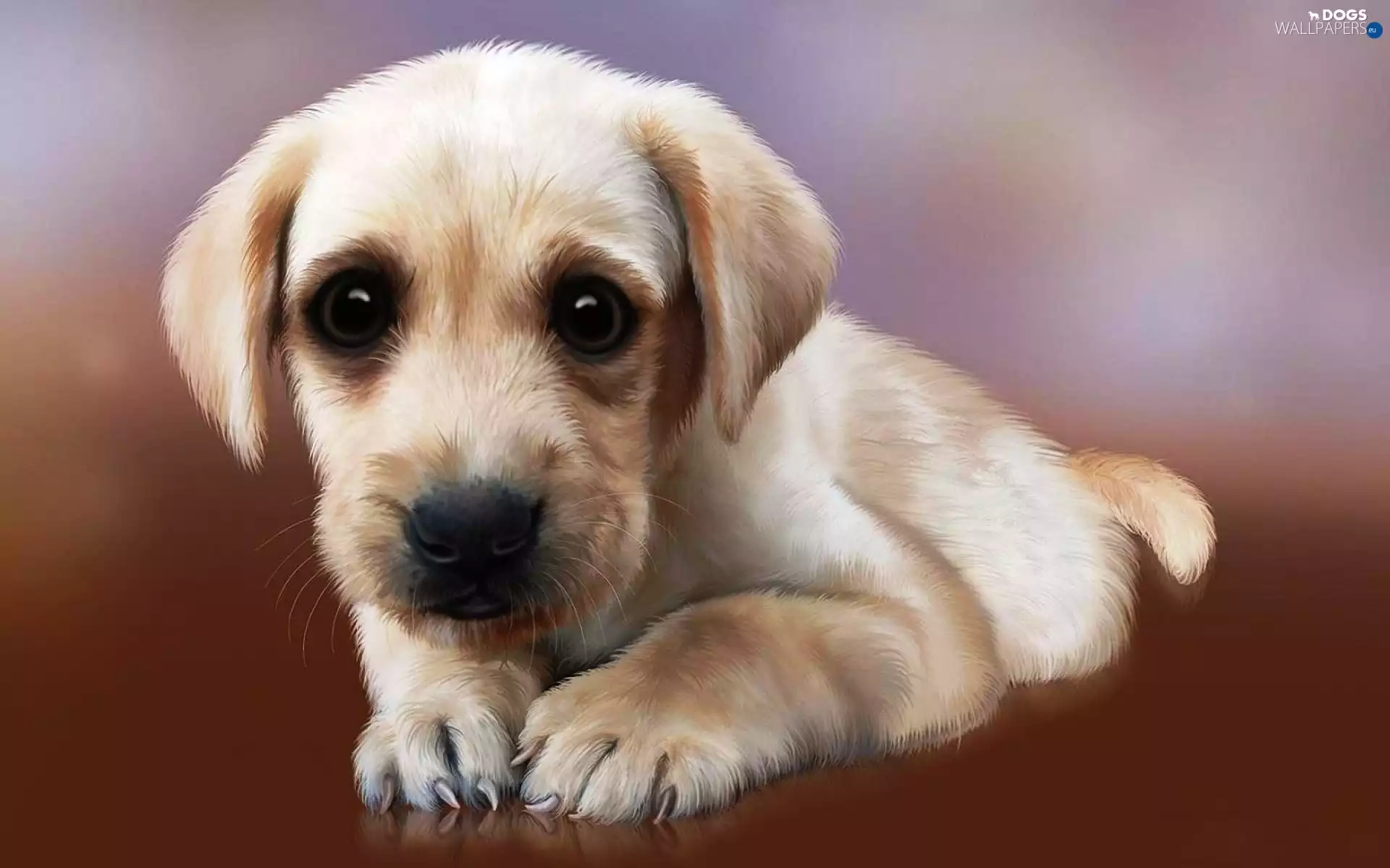 Golden Retriever, puppie, claws