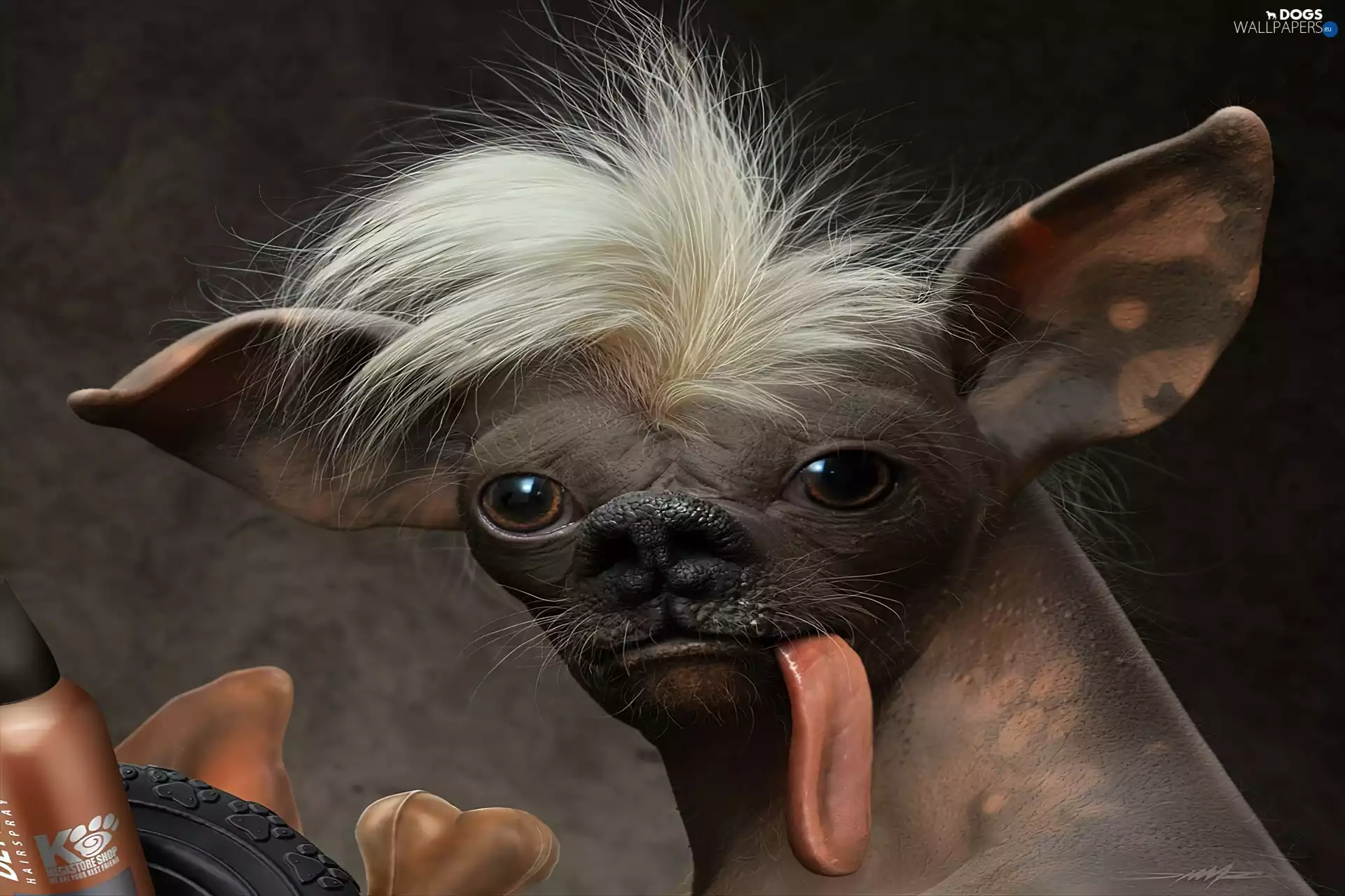 dog, Tounge, inese Crested Dog, Iroquois