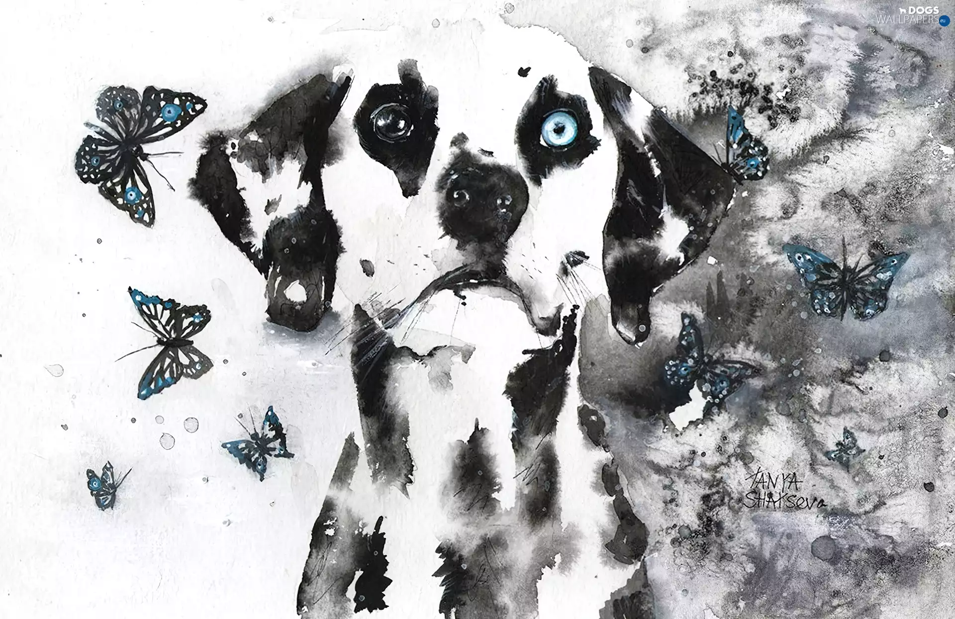 Dalmatian, butterflies