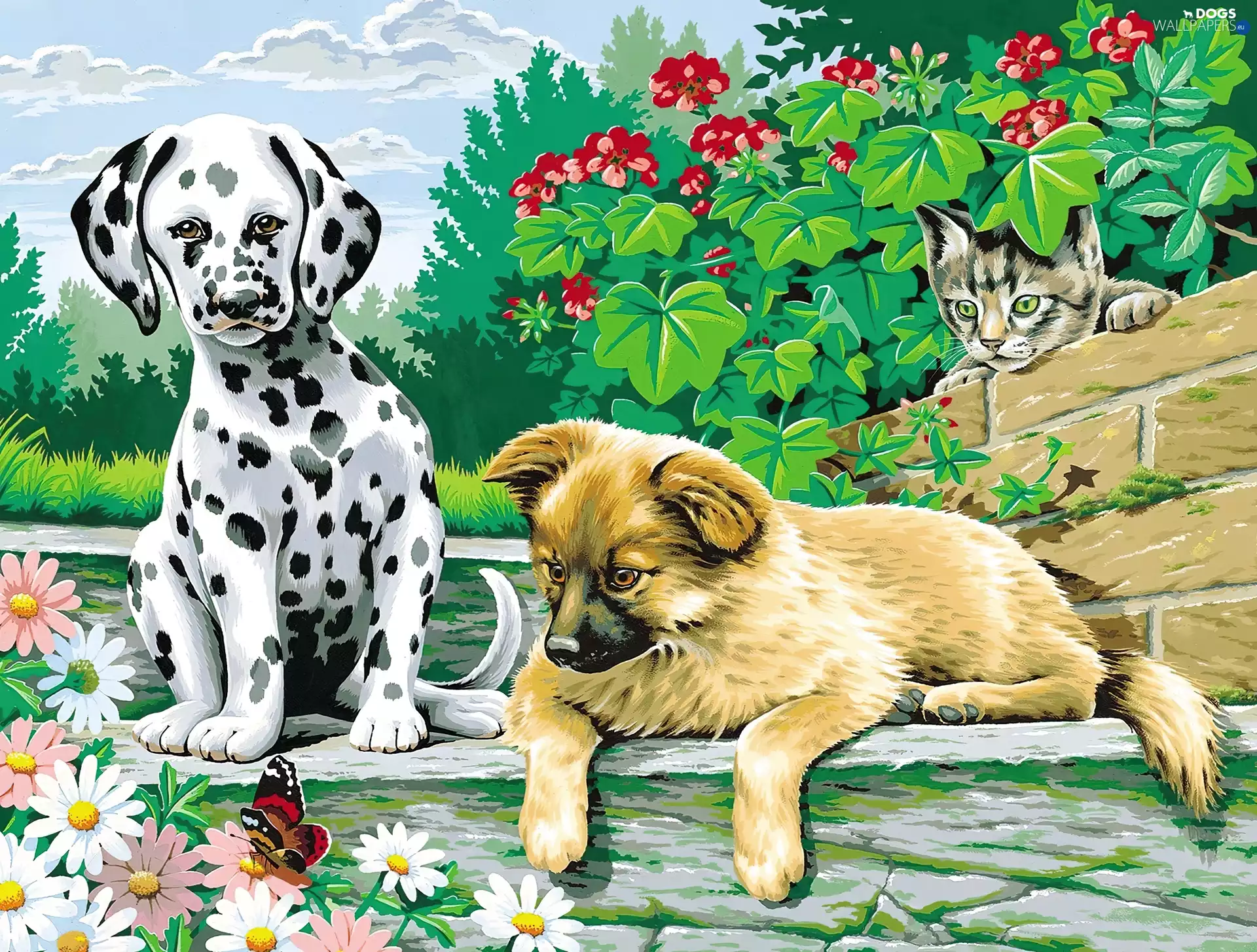 cat, Flowers, Dogs, Dalmatian, Two cars