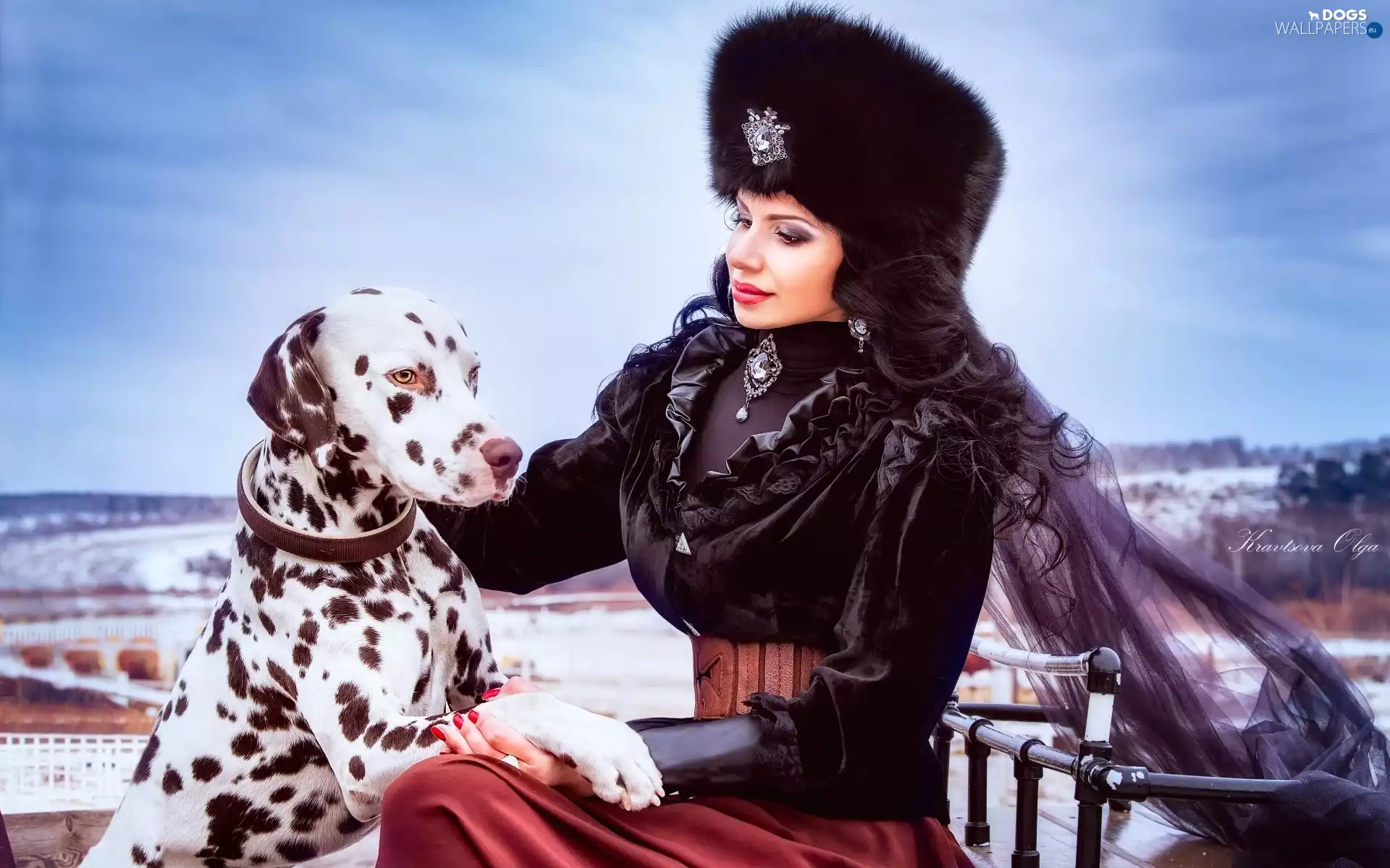 dog, Dalmatian, mode, style, Women