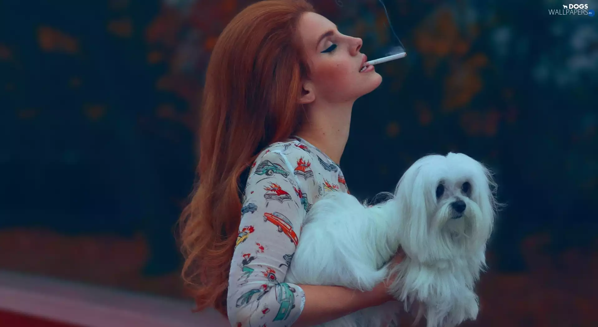 Lhasa Apso, Lana Del Rey, dog