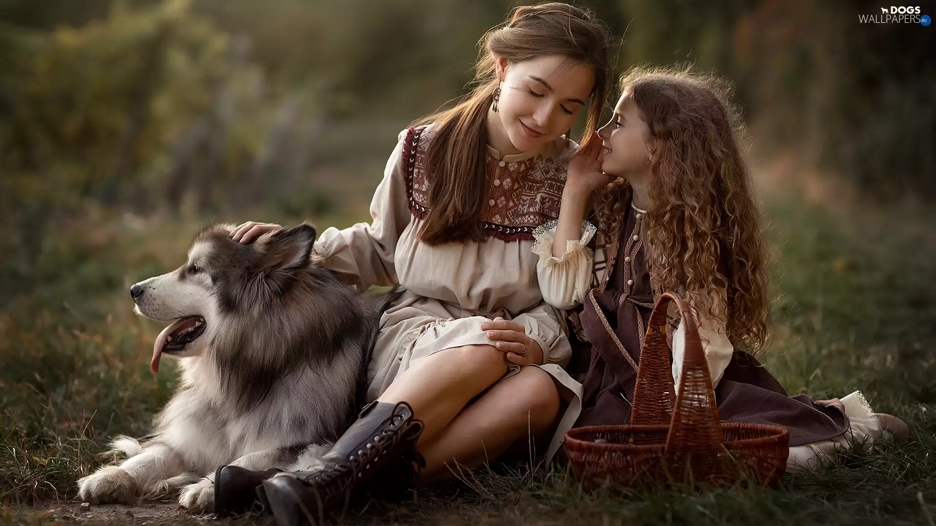 Women, dog, Alaskan Malamute, girl