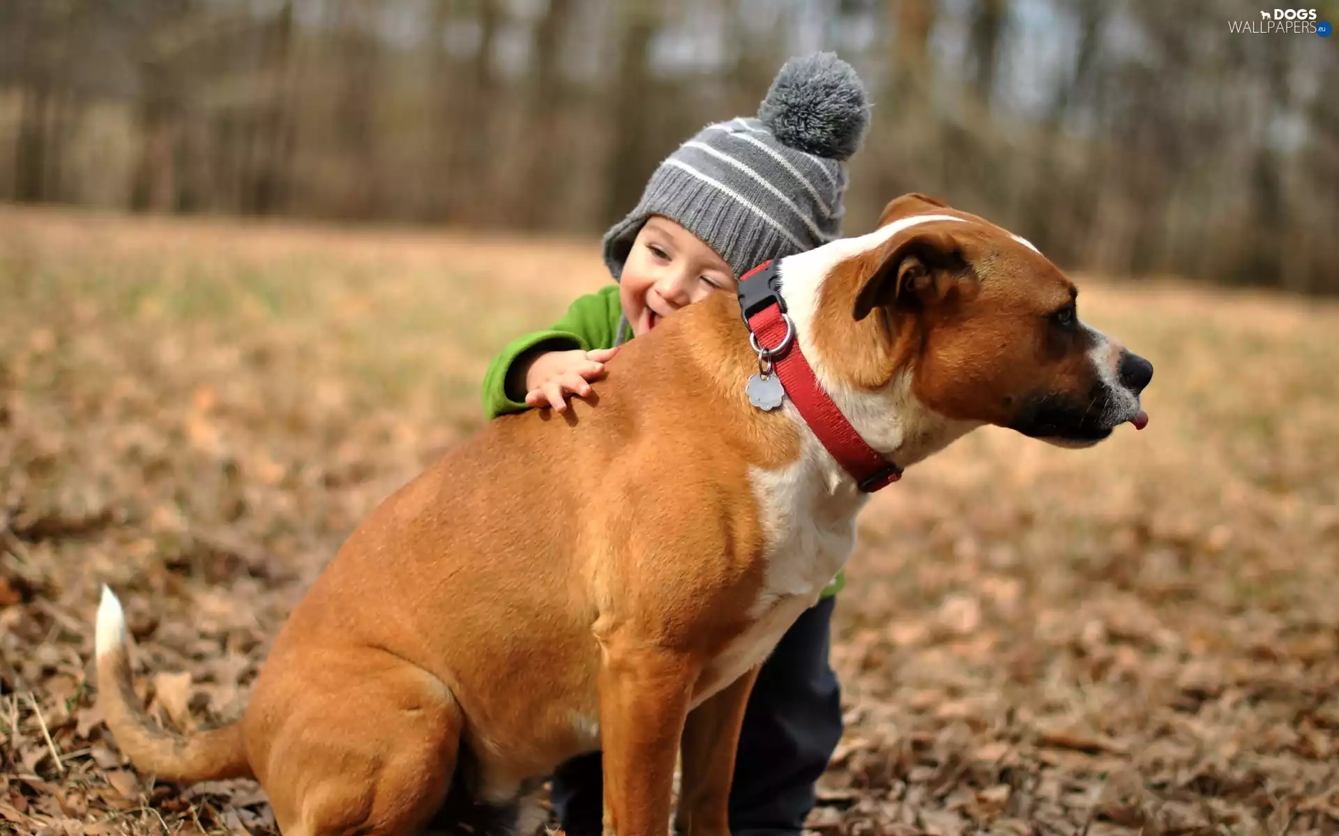 autumn, Kid, joy, dog