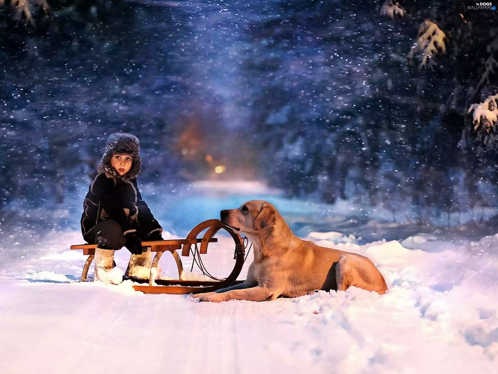 boy, forest, winter, dog