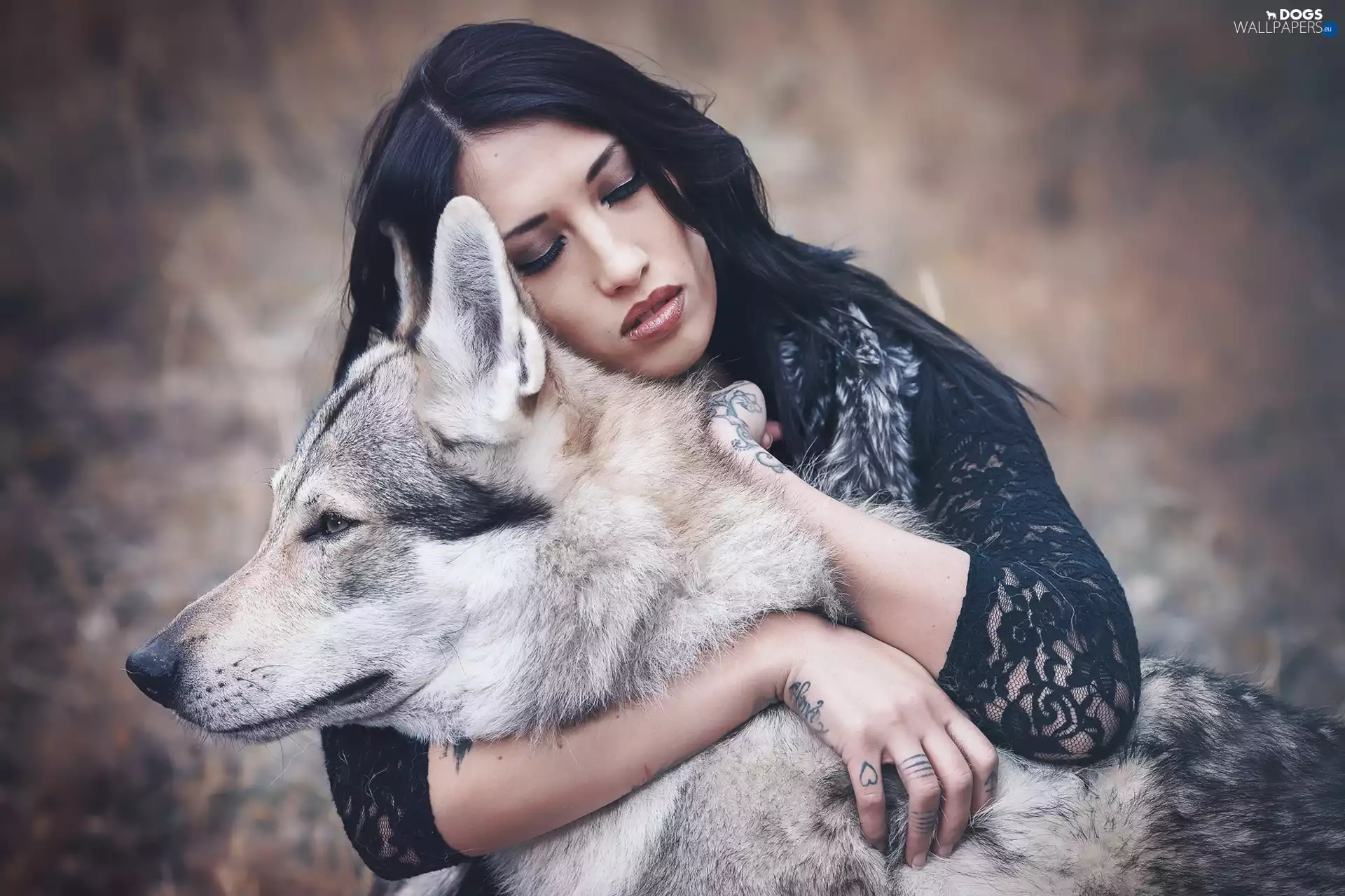 Women, dog, Czechoslovakian Wolfdog, brunette