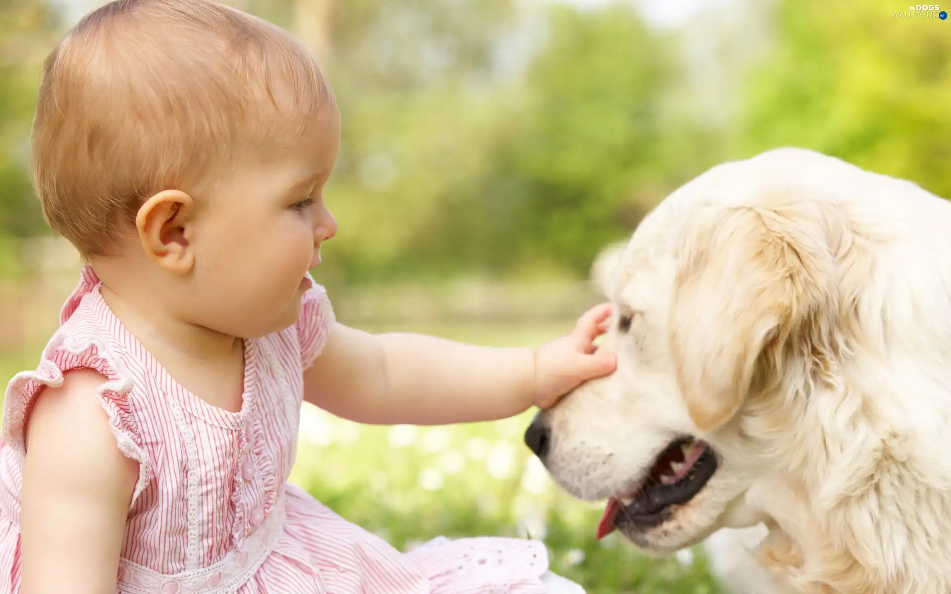 girl, dog, small