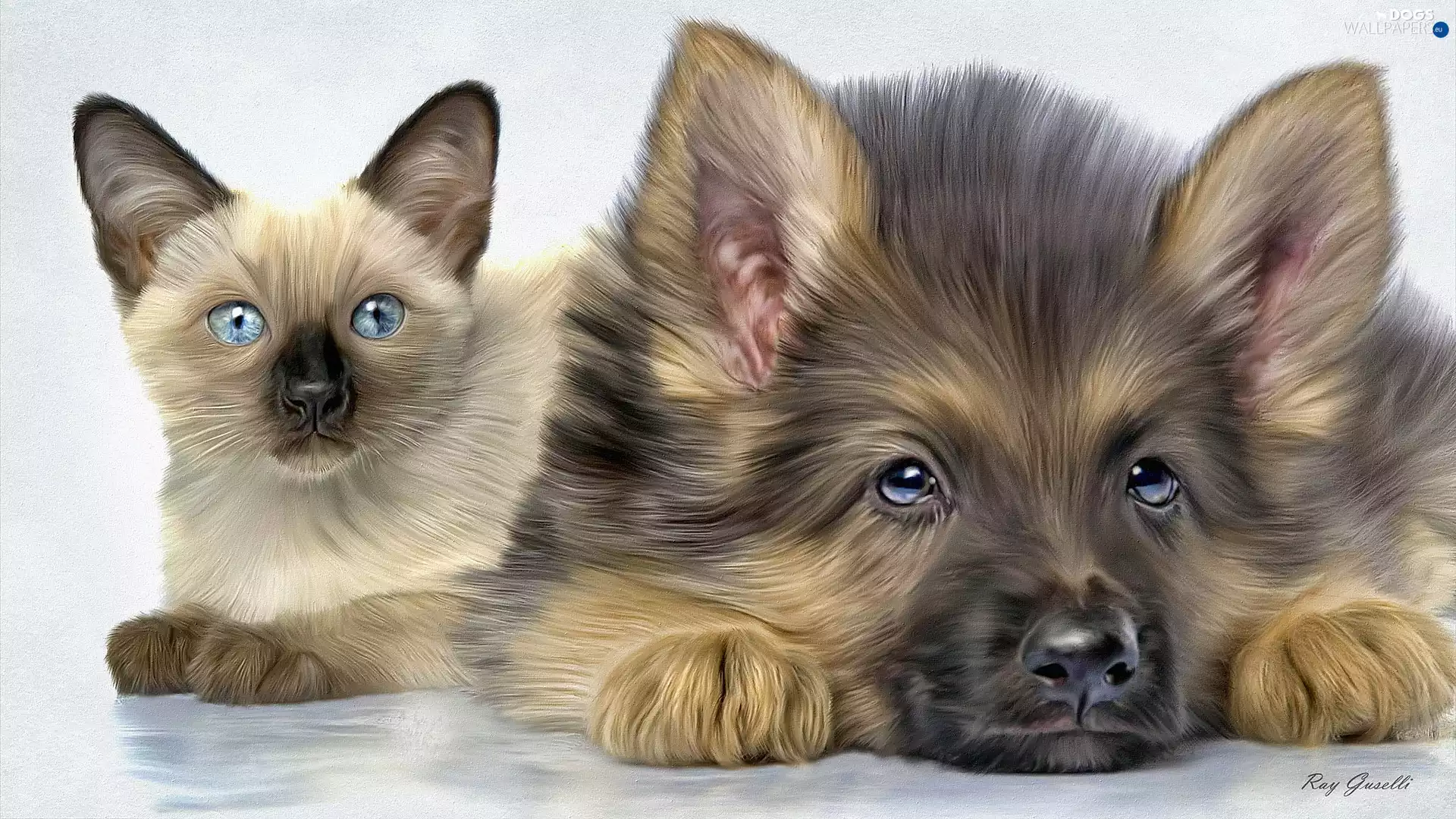 German Shepherd, graphics, dog, Puppy, Siamese Cat