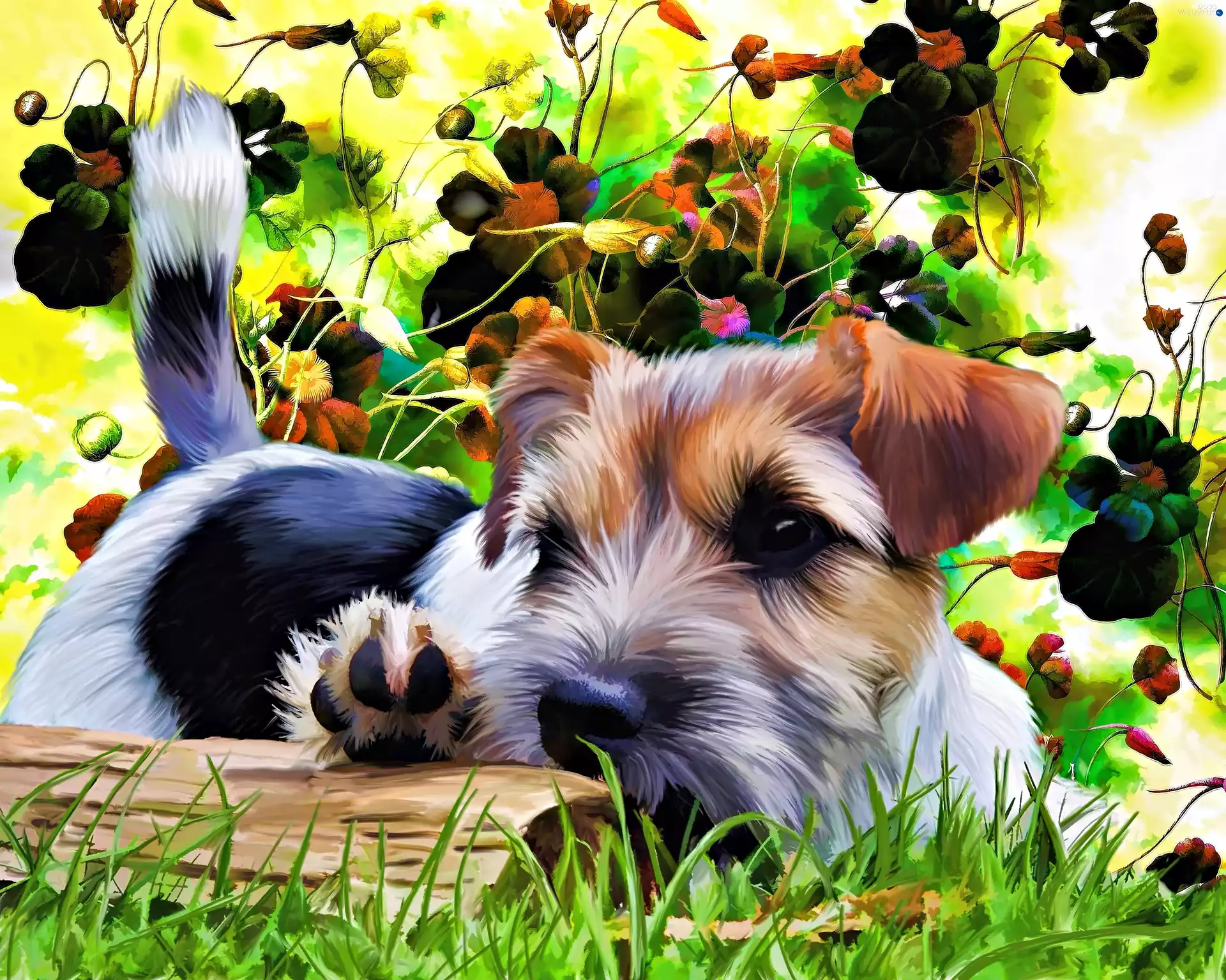 terrier, Flowers, graphics, dog