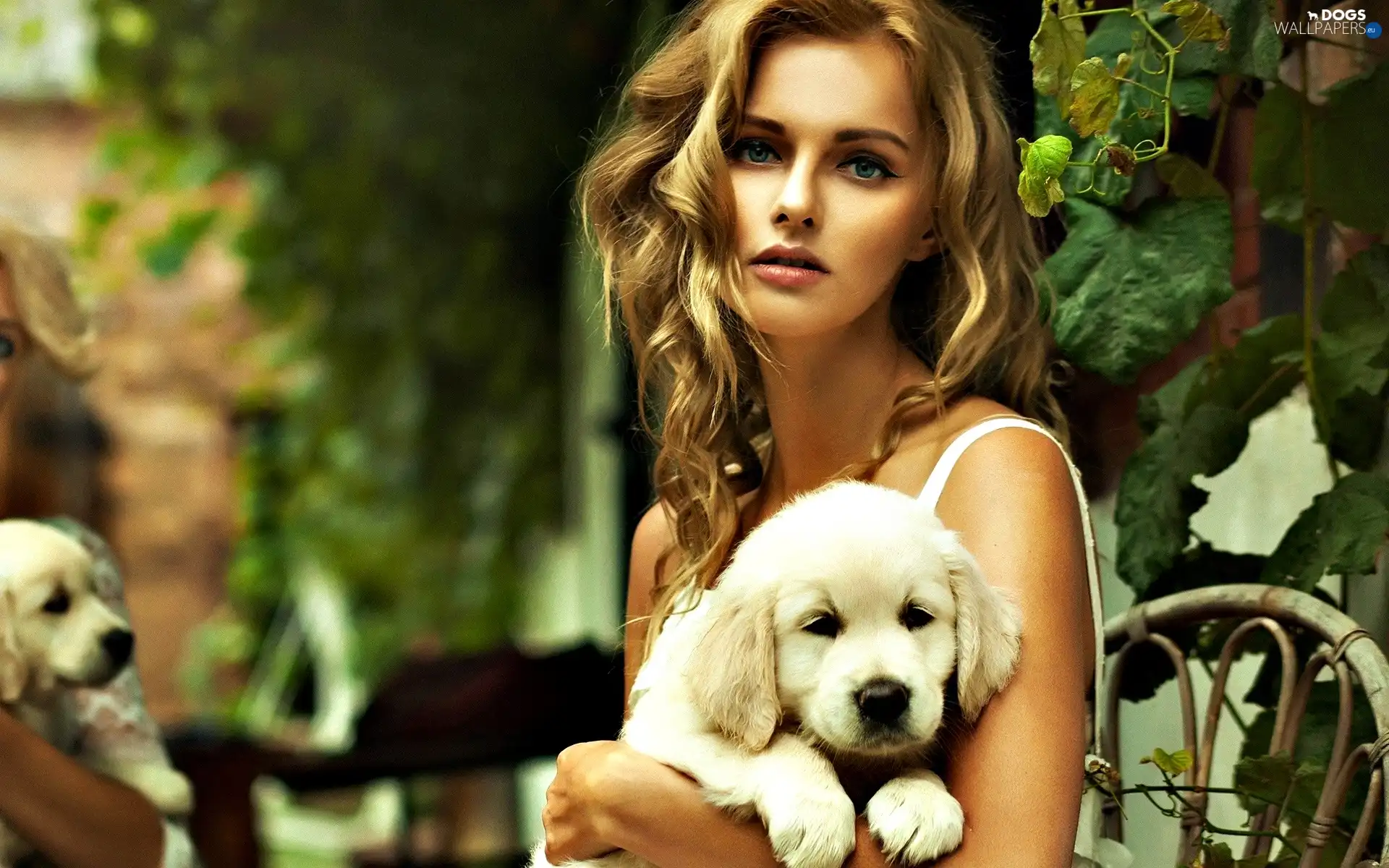 Women, doggy, Blond