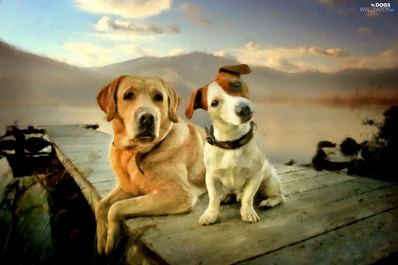 Dogs, Labrador Retriever, Two cars