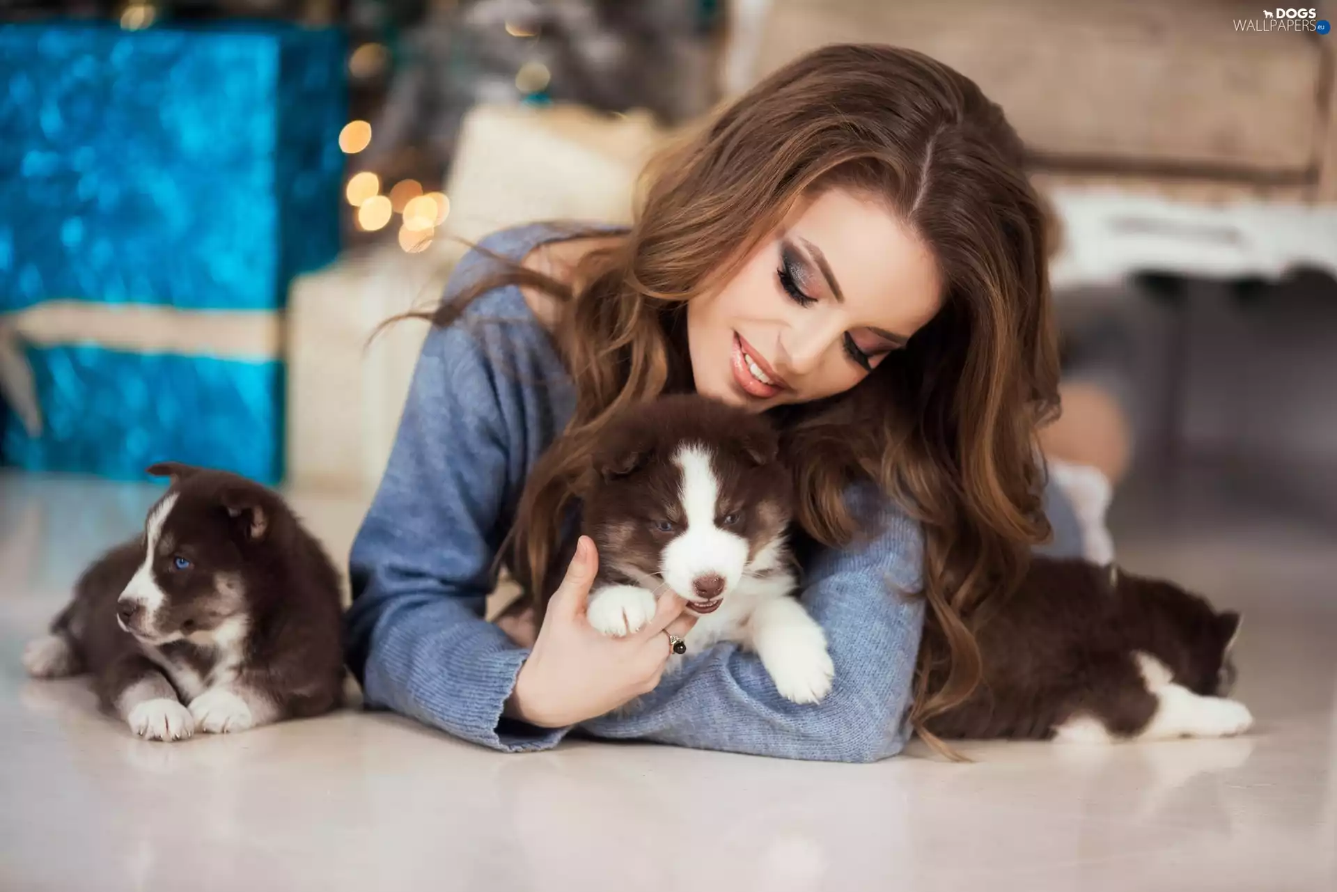 puppies, Siberian Husky, Dogs, Three, Women