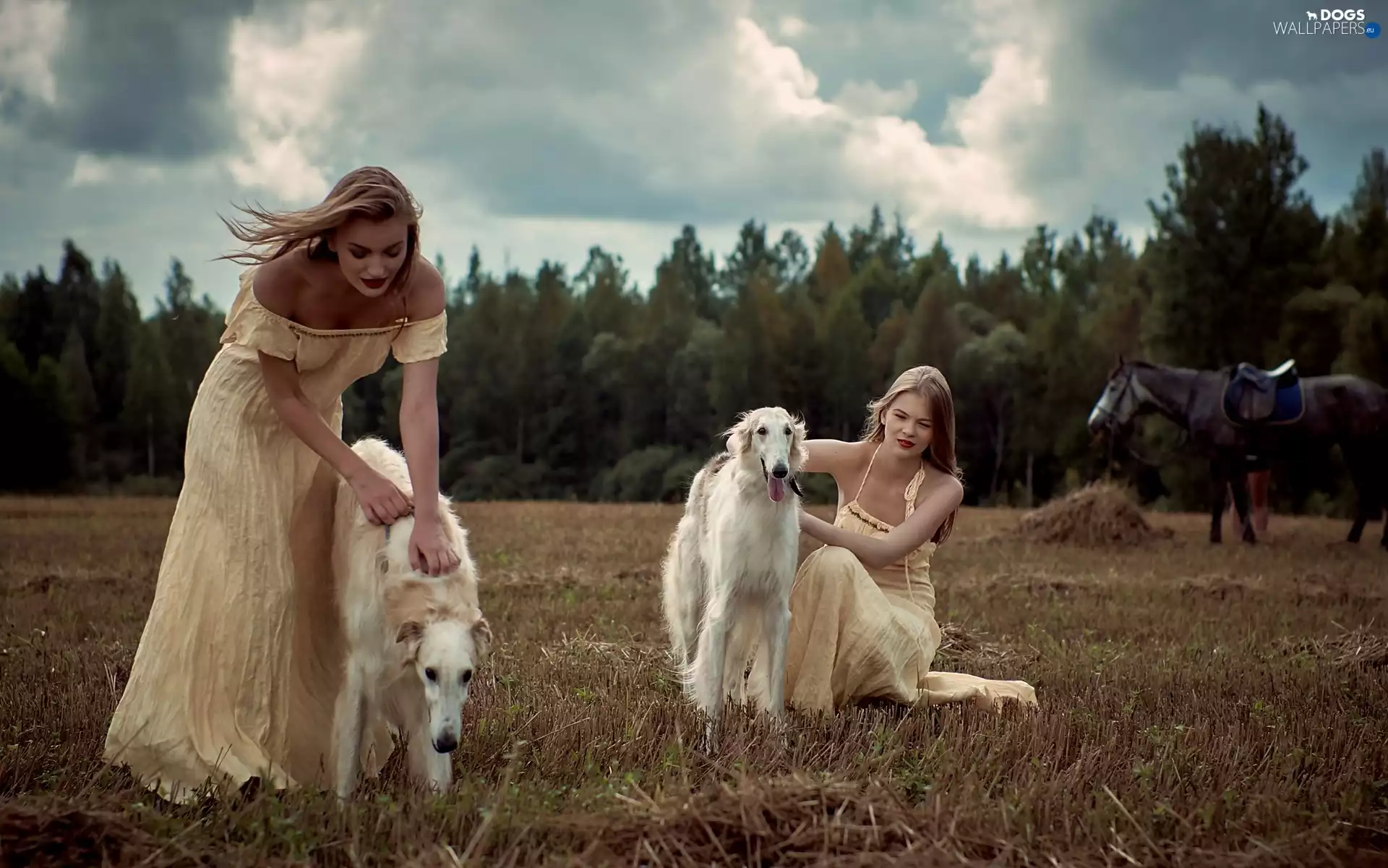 Womens, Greyhound, Field, Dogs