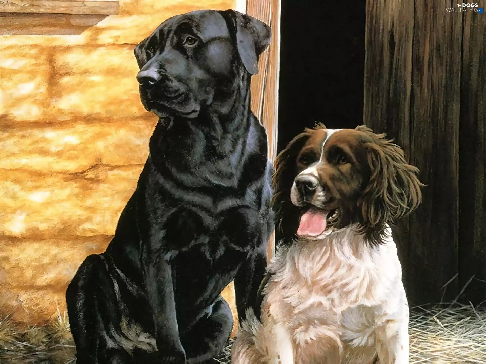 English Cocker Spaniel, Labrador Retriever, puppies, cote, Two cars