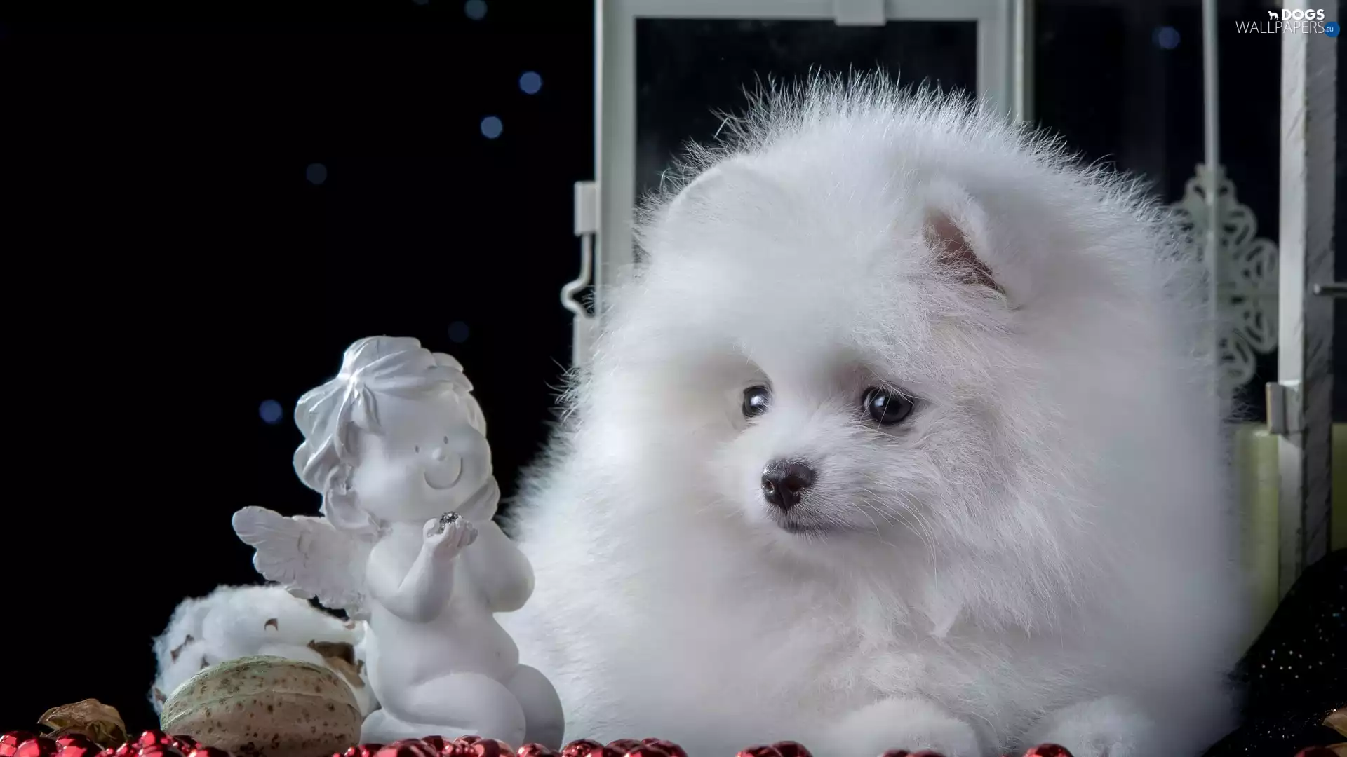 Puppy, figure, angel, Toy Spitz
