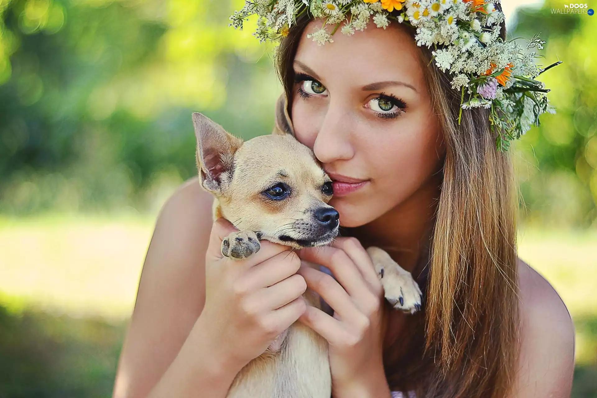 doggy, Women, wreath, Flowers, Puppy, face