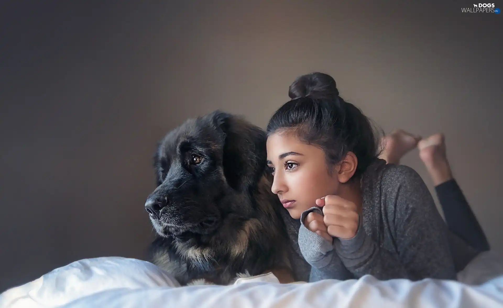 dog, friends, girl