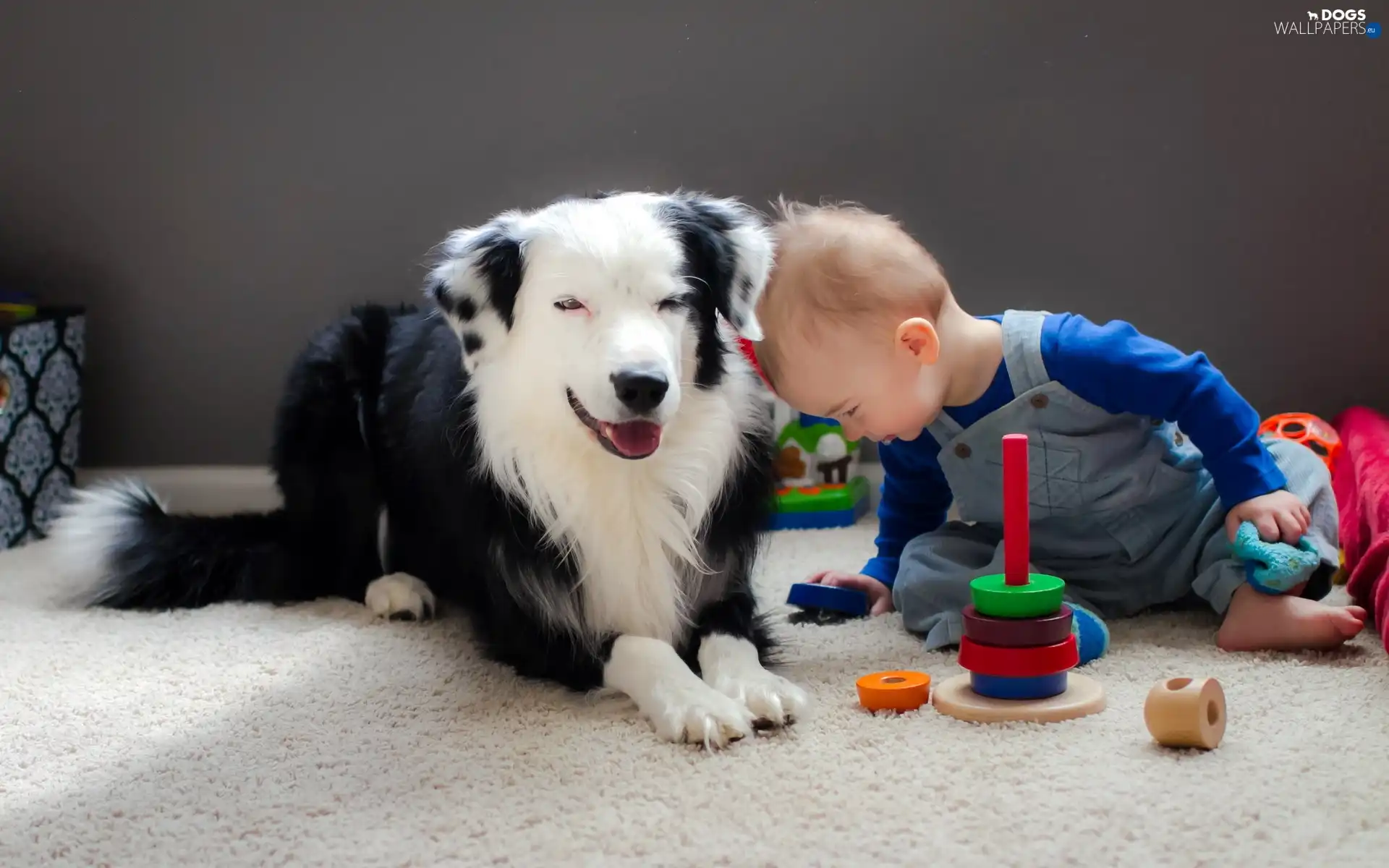friends, toys, Kid, dog