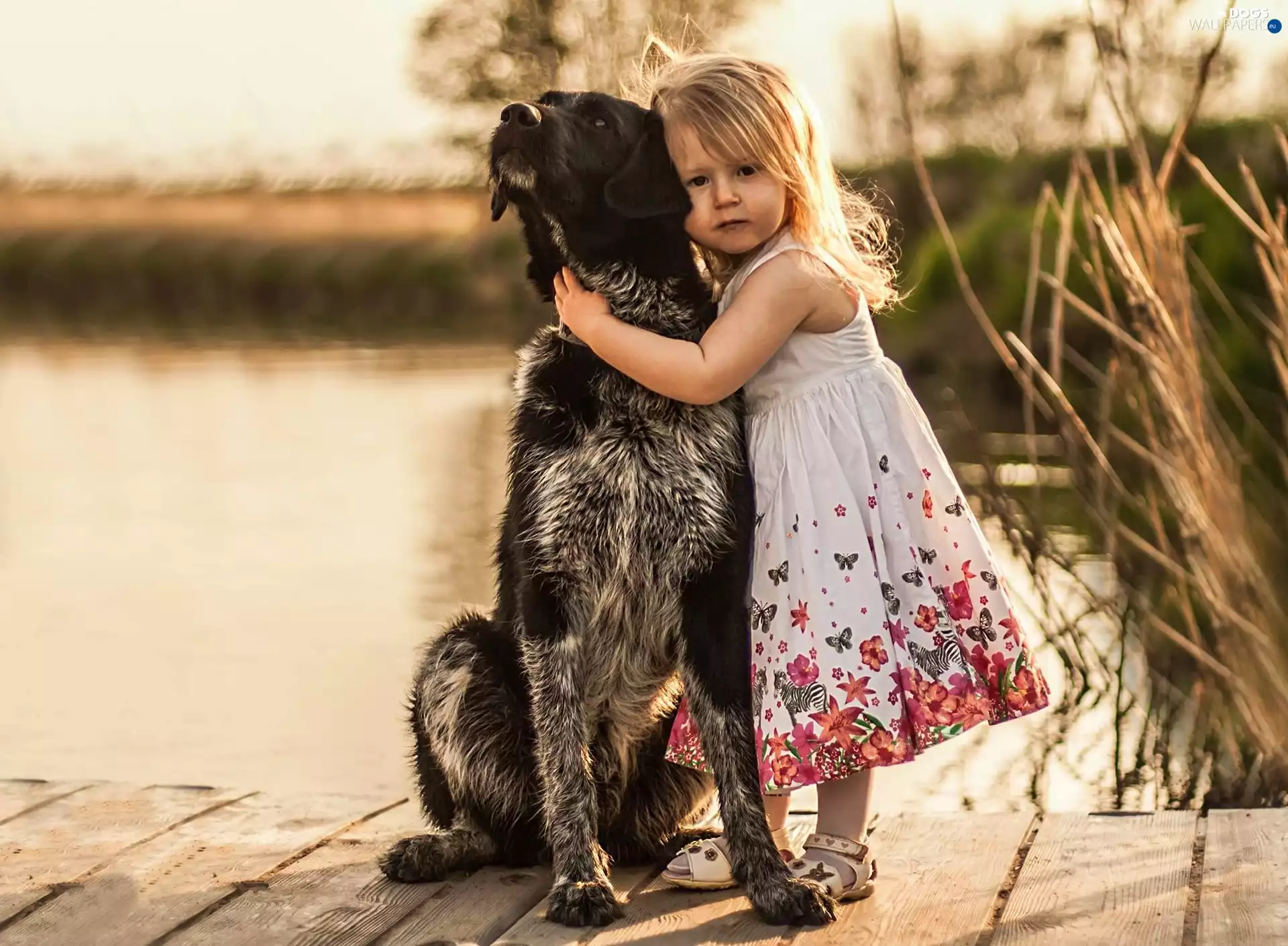 friendship, girl, dog