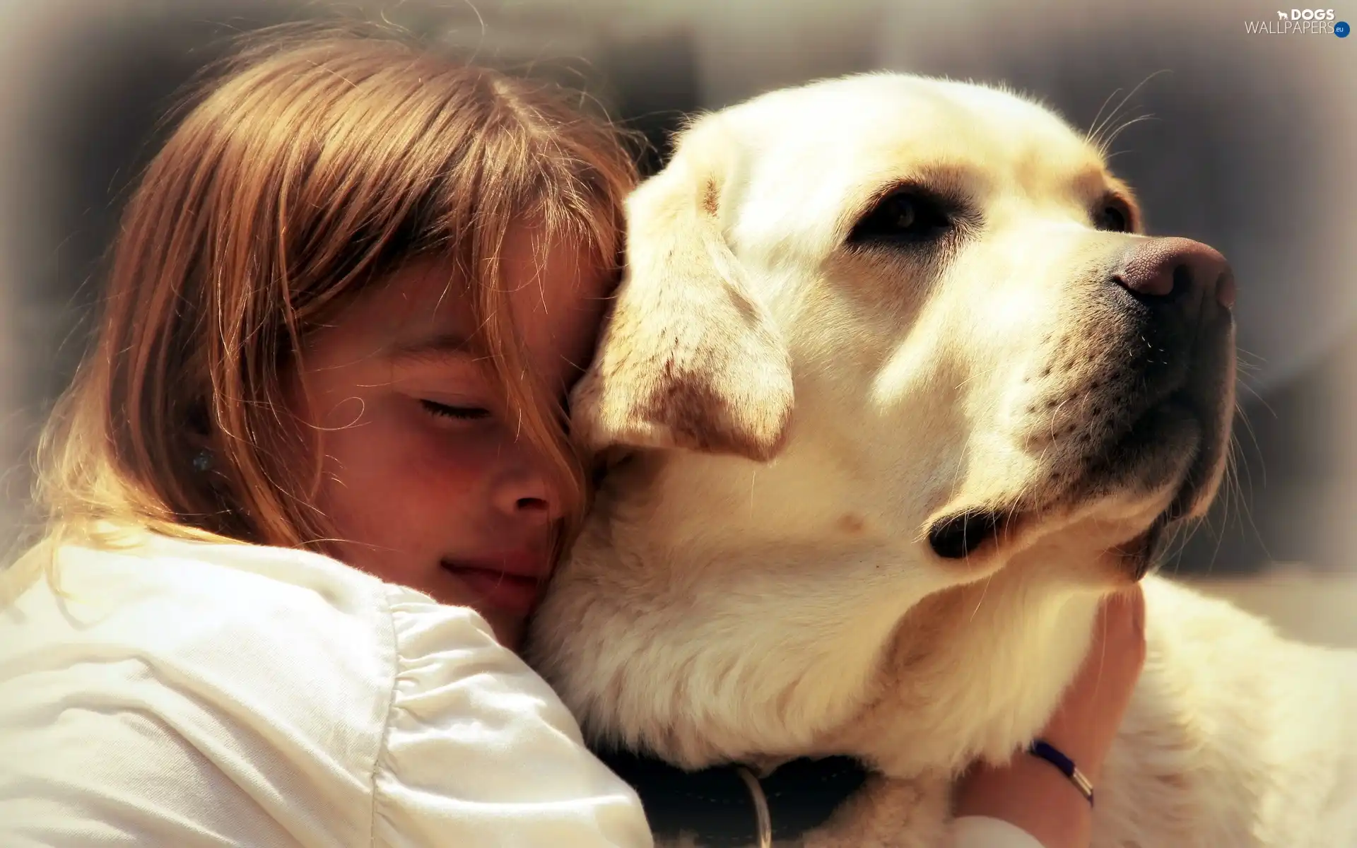 dog, friendship, girl