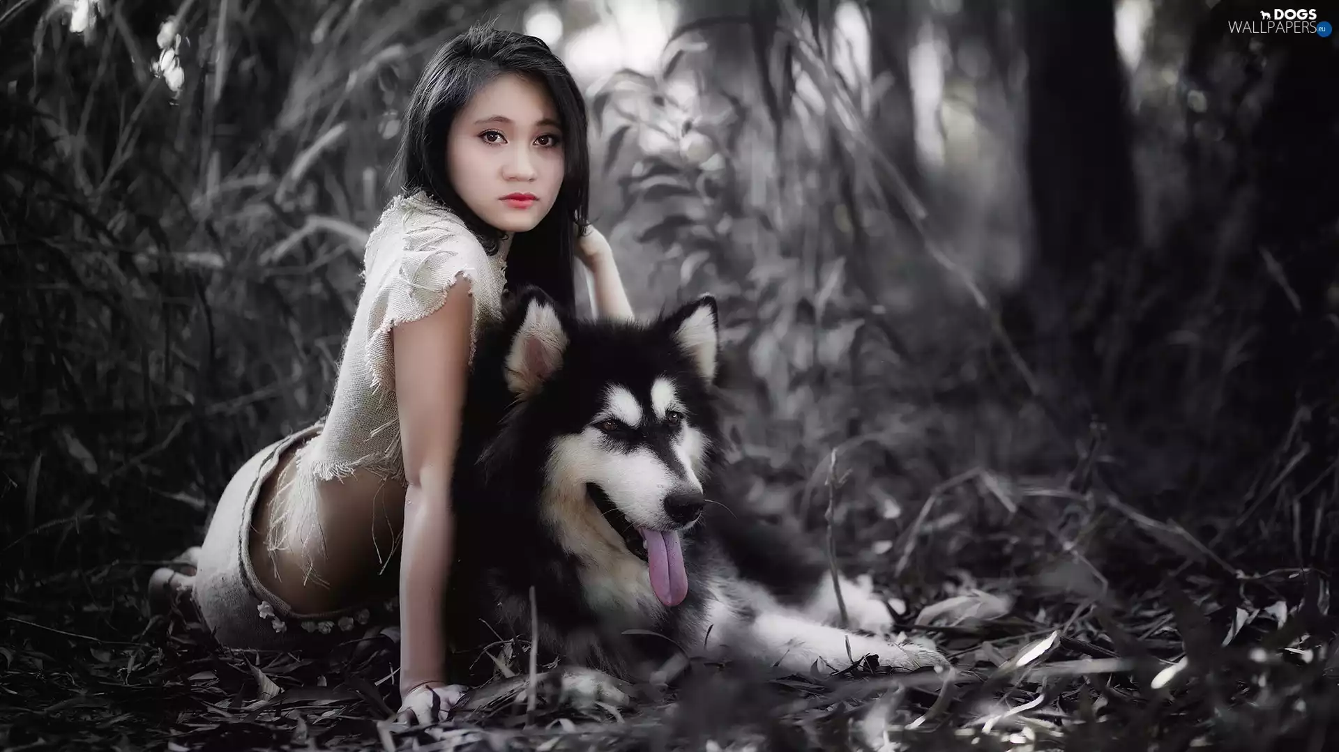 Alaskan Malamute, Women, fuzzy, background, Plants, Asian