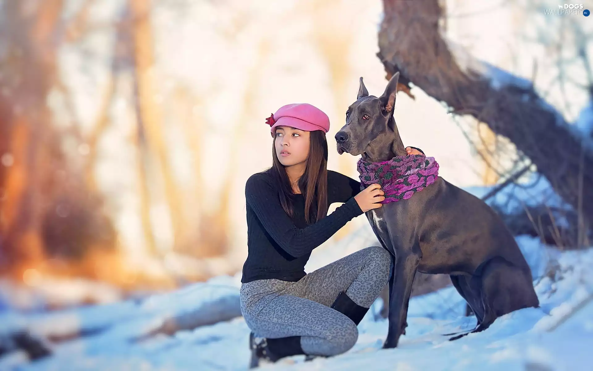 winter, Women, Dog German